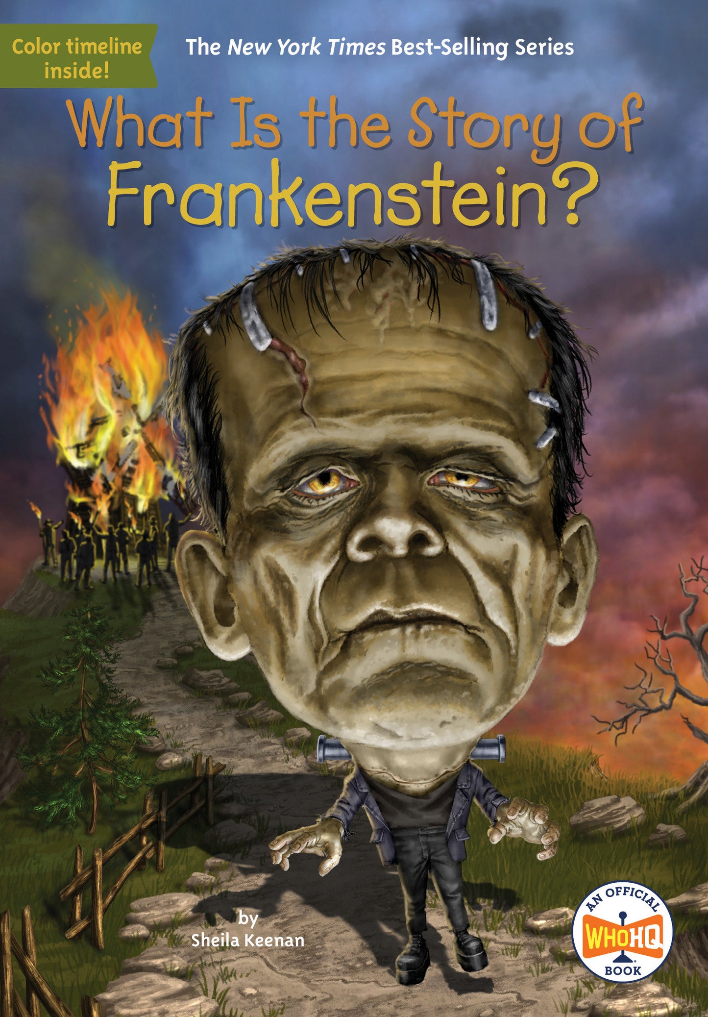What Is the Story of Frankenstein? (What Is the Story Of?)