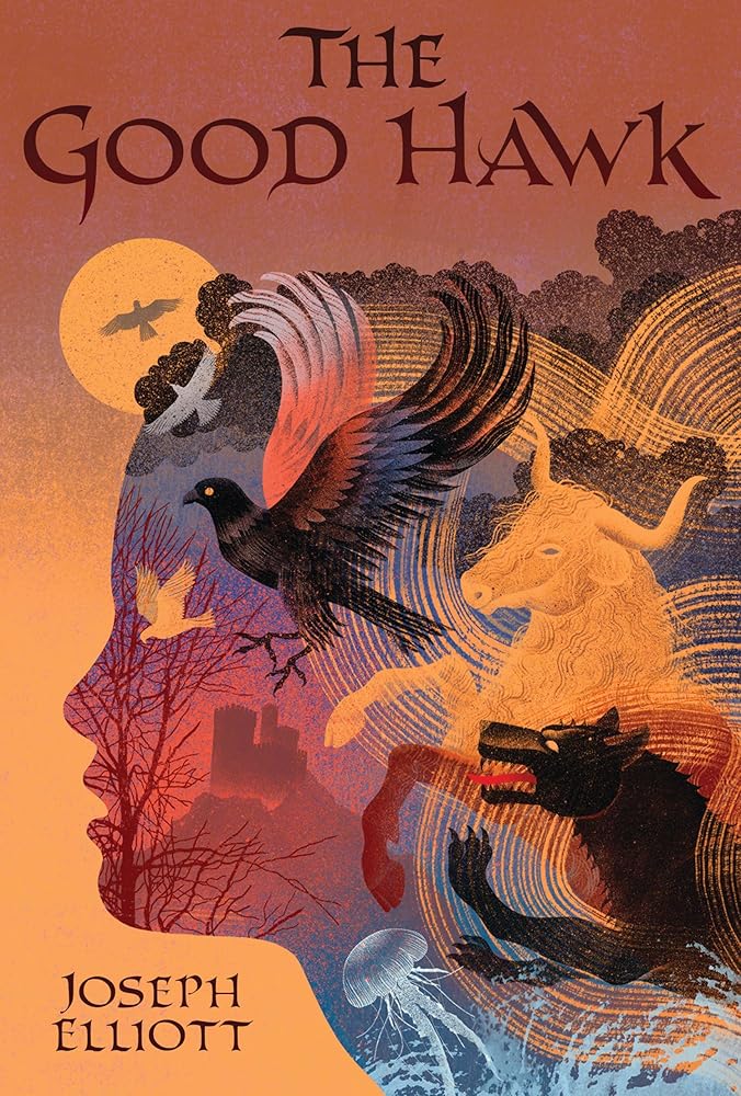 The Good Hawk (Shadow Skye, Book One) (Shadow Skye Trilogy) by Joseph Elliott