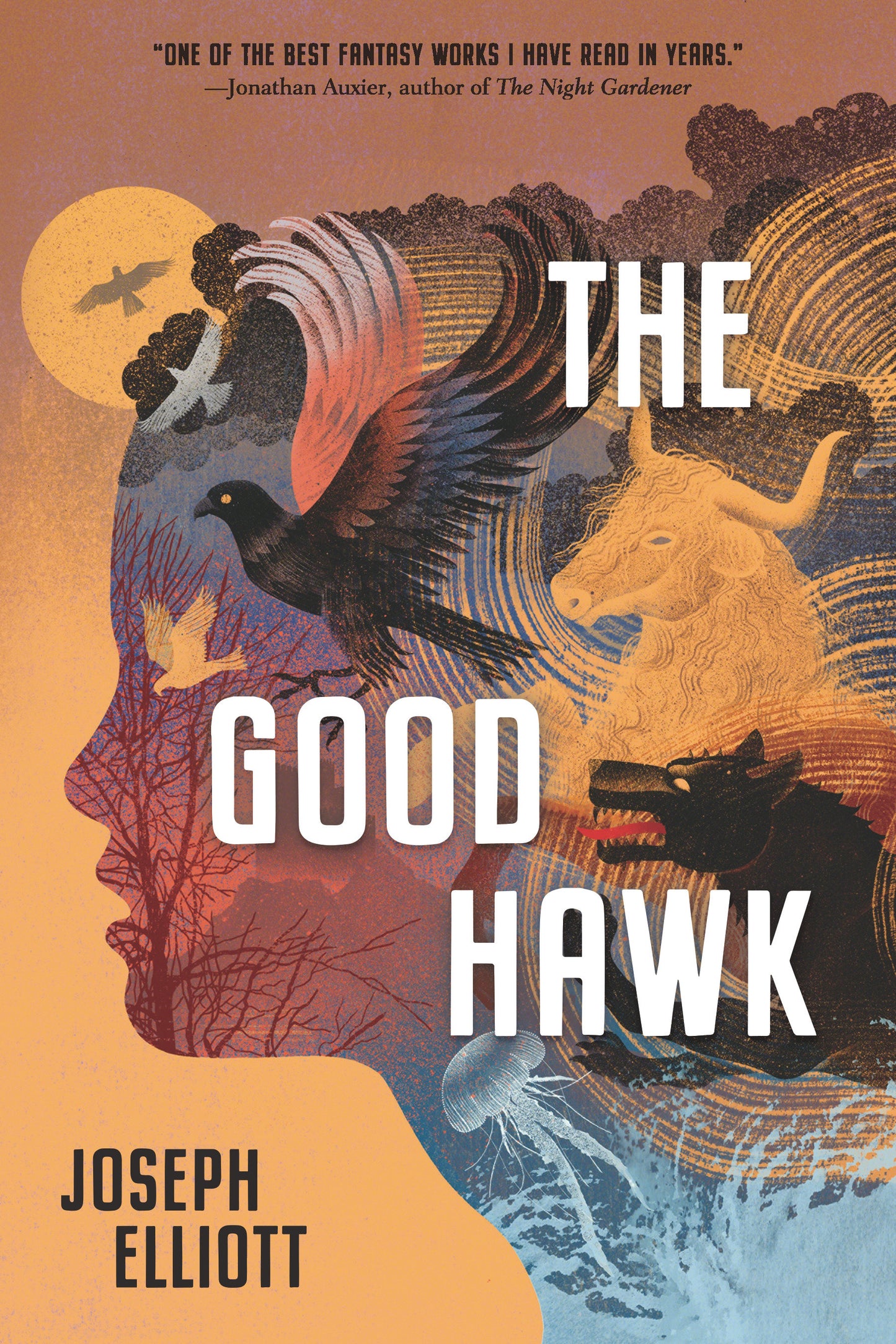 The Good Hawk (Shadow Skye Trilogy) (Book:1)