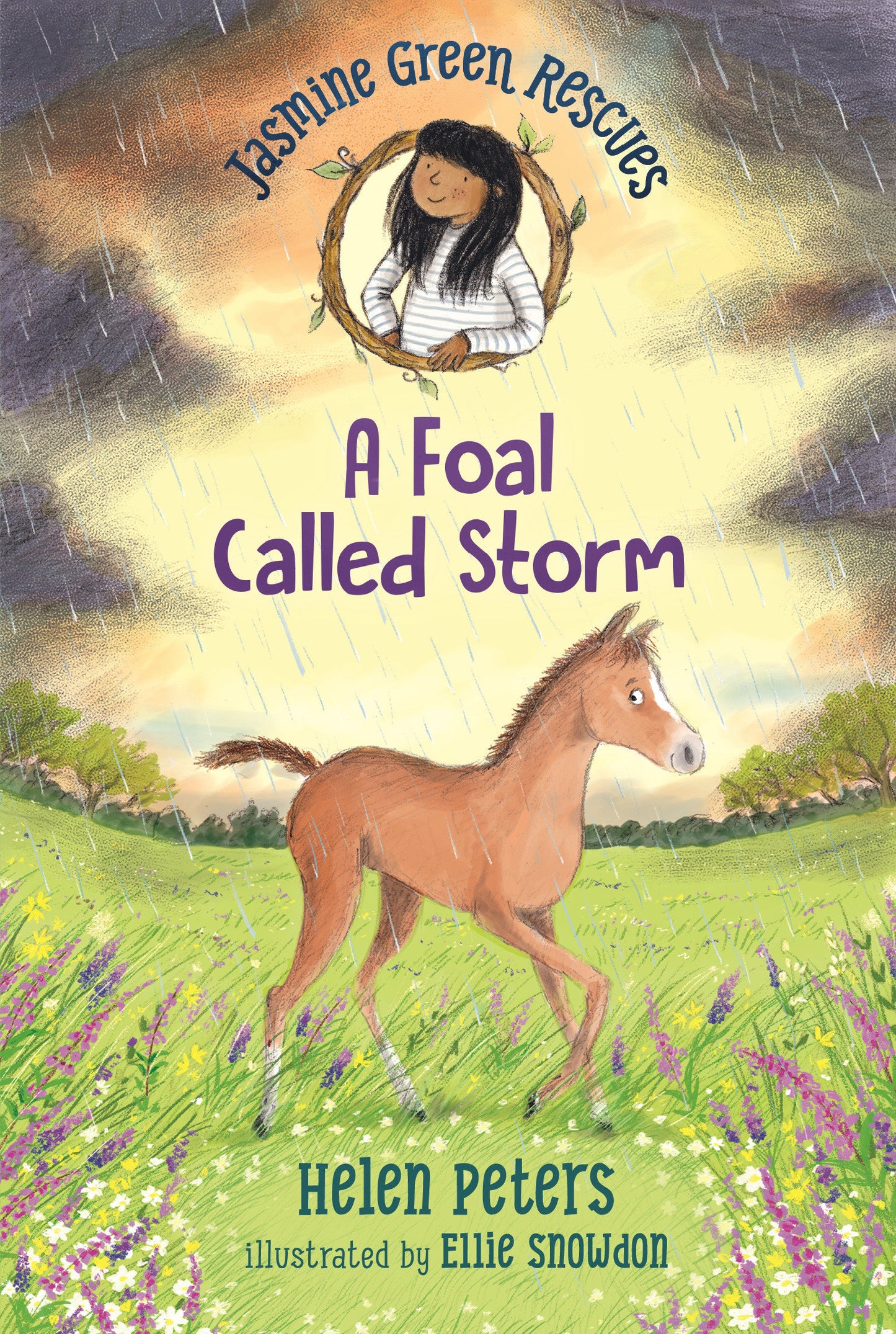 Jasmine Green Rescues: A Foal Called Storm (Jasmine Green) (Book:8)
