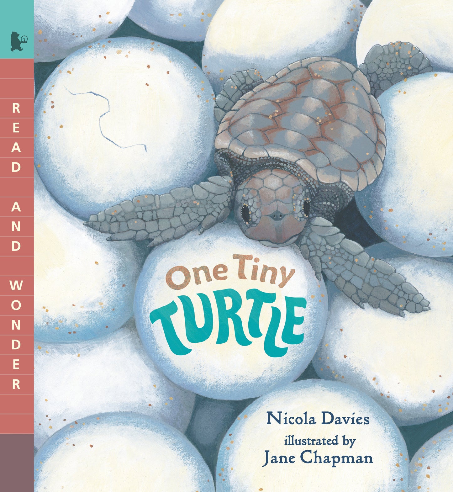 One Tiny Turtle - Read and Wonder (Read and Wonder)