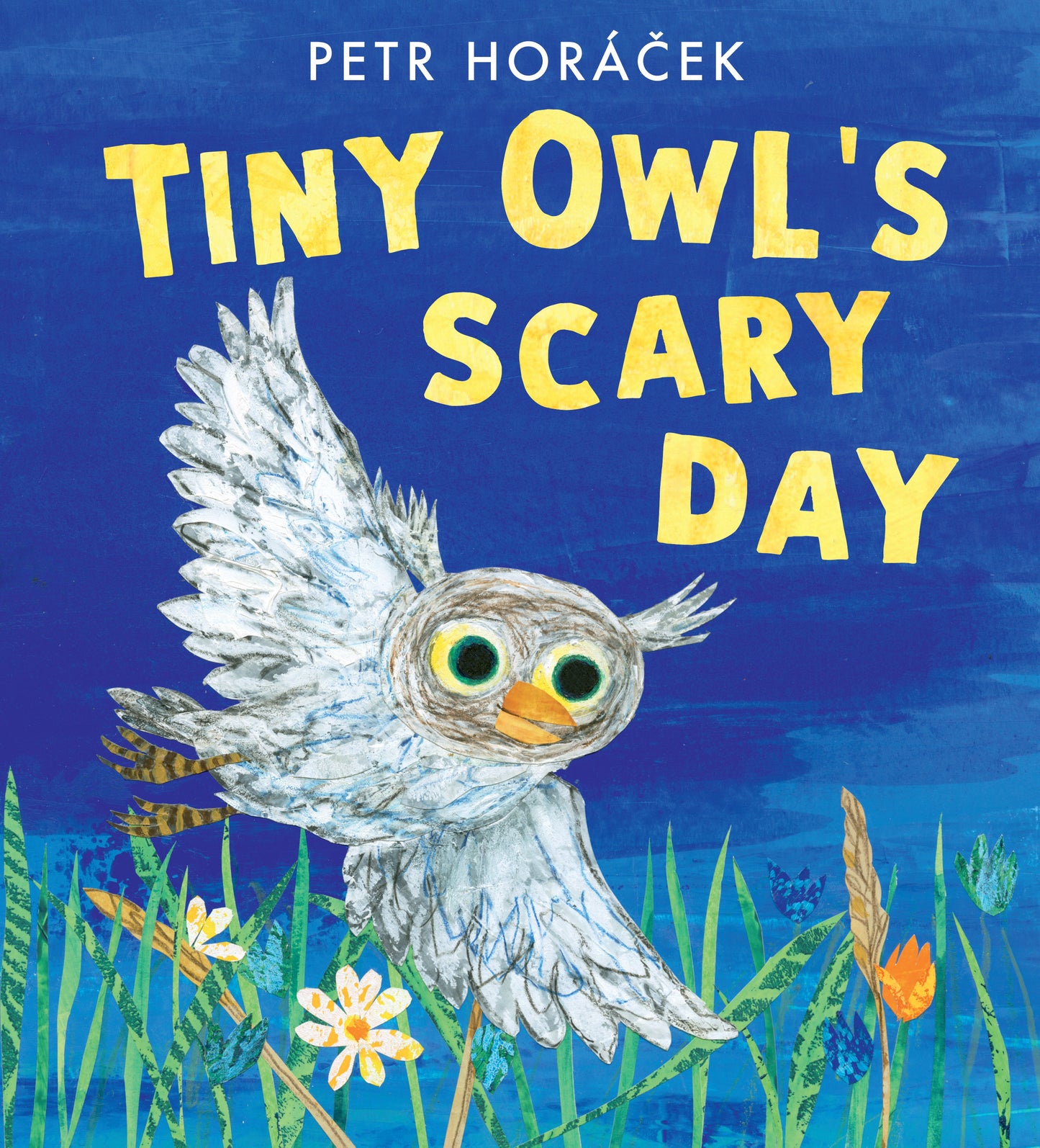 Tiny Owl's Scary Day
