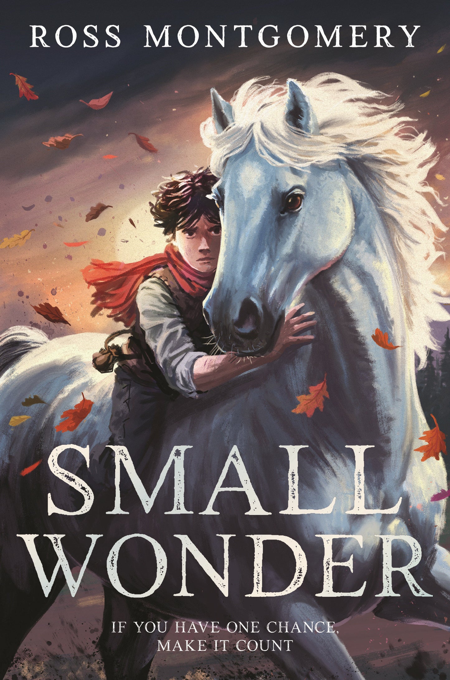 Small Wonder