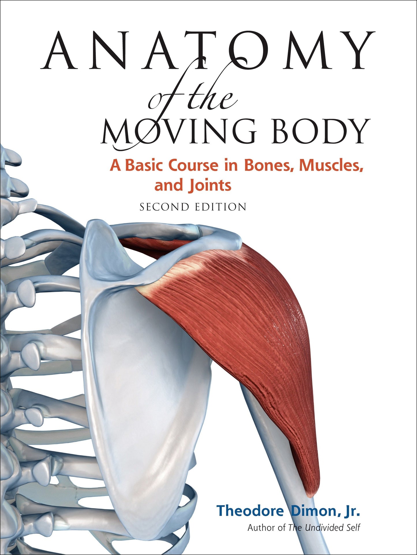 Anatomy of the Moving Body, Second Edition - A Basic Course in Bones, Muscles, and Joints