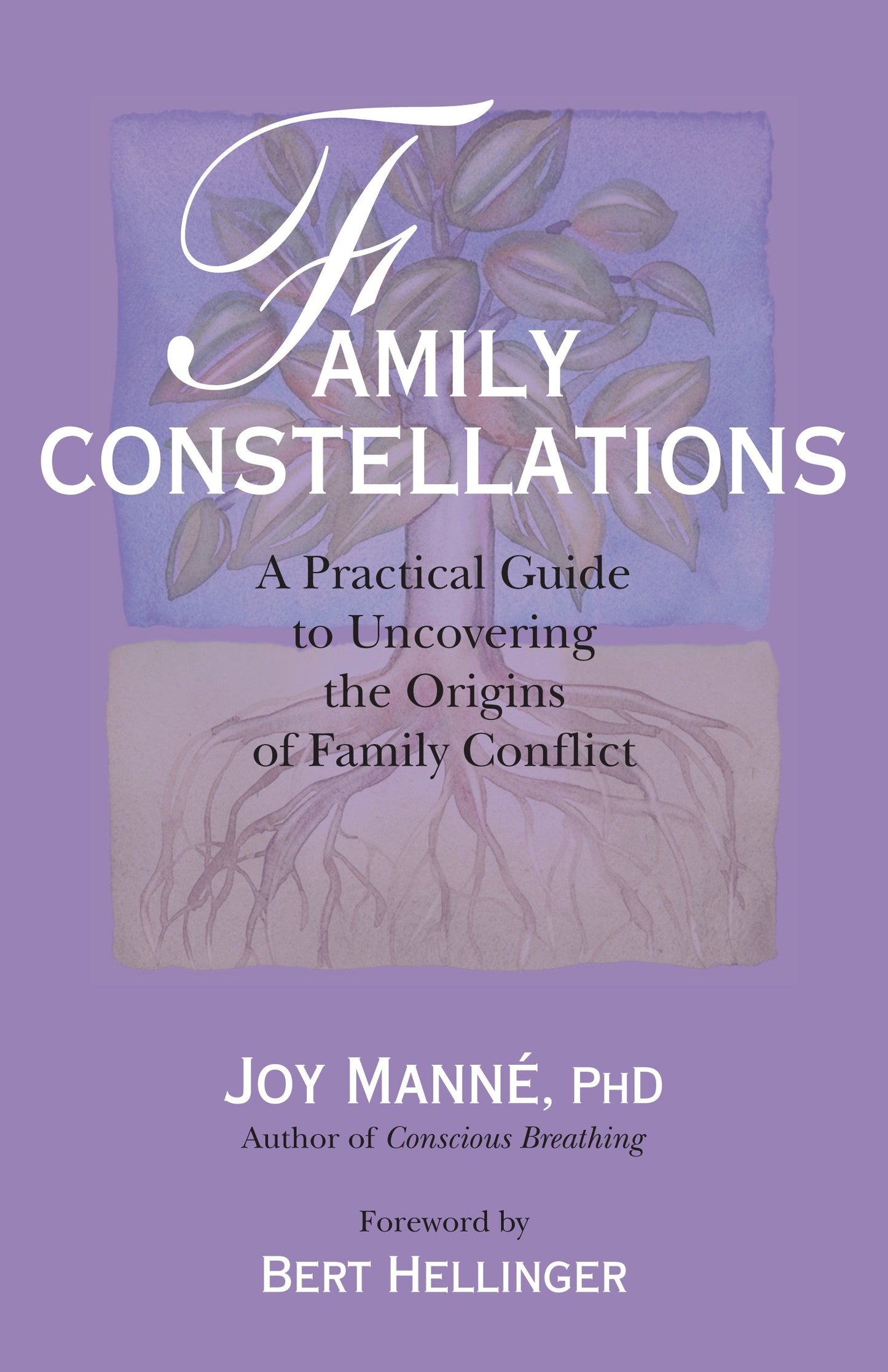 Family Constellations - A Practical Guide to Uncovering the Origins of Family Conflict