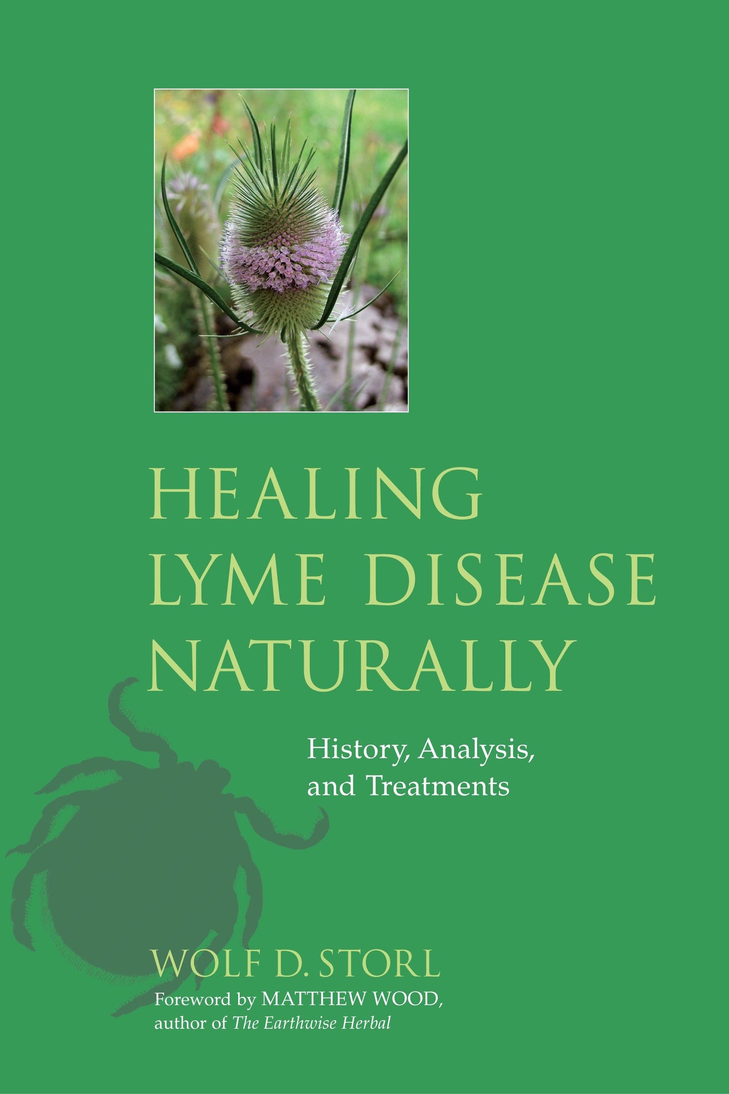 Healing Lyme Disease Naturally - History, Analysis, and Treatments