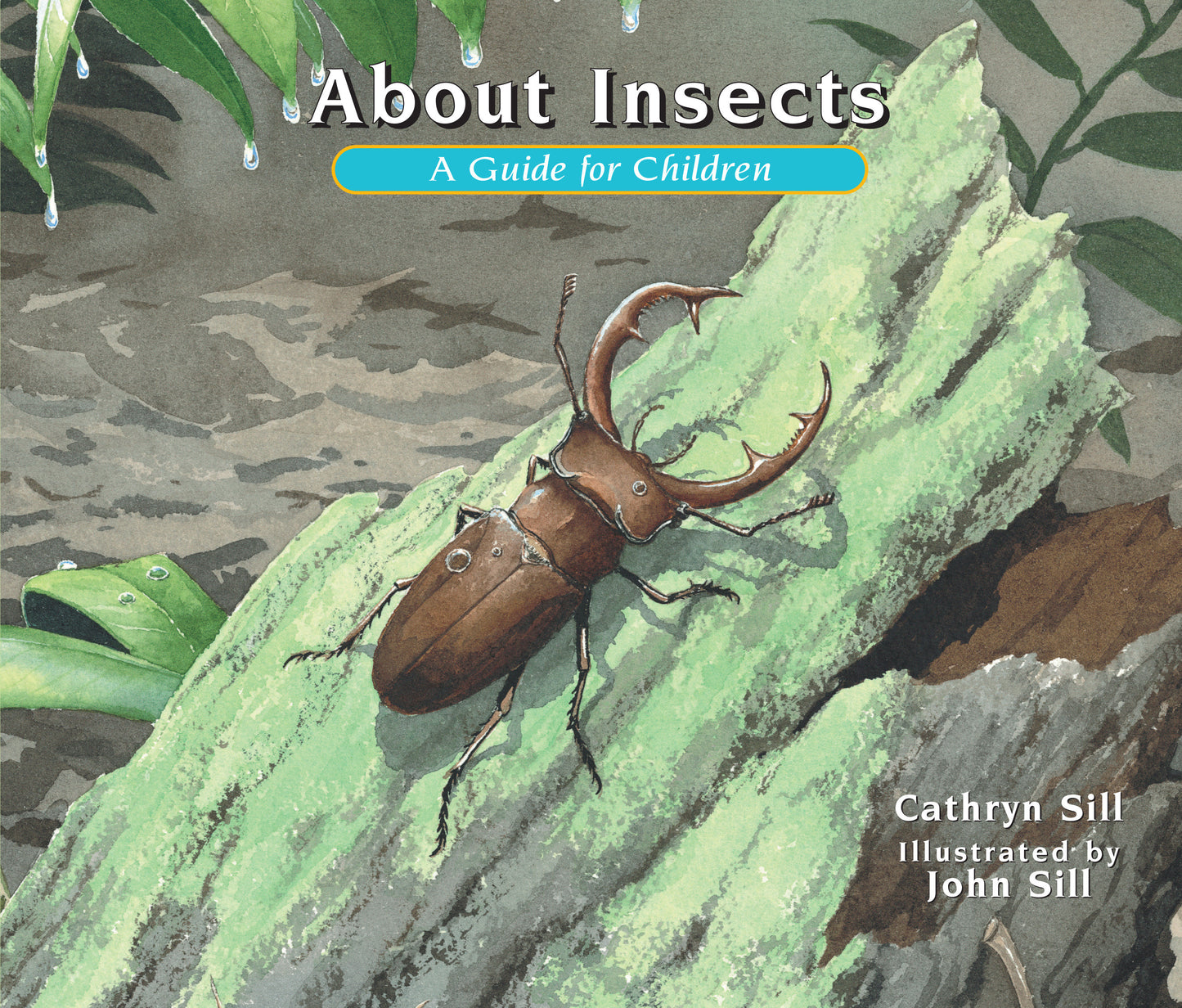 About Insects - A Guide for Children (Educational Science Book About Bugs for STEM Learning) (About. . .) (Book:4)