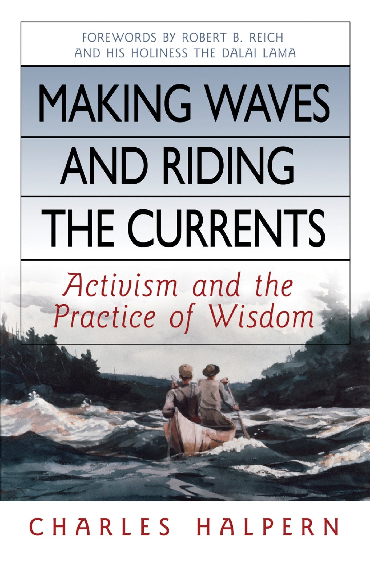 Making Waves and Riding the Currents - Activism and the Practice of Wisdom