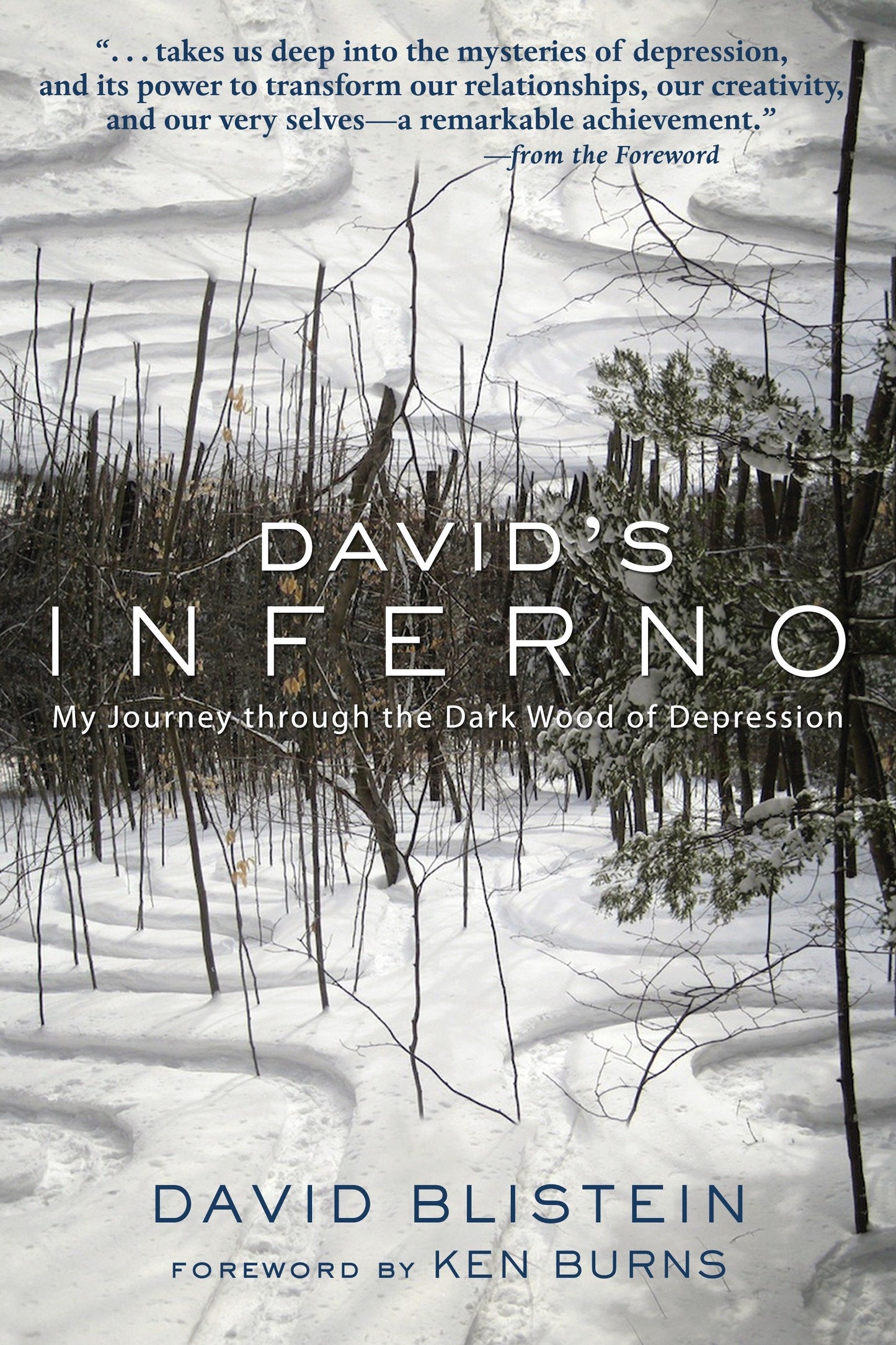 David's Inferno - My Journey Through the Dark Wood of Depression