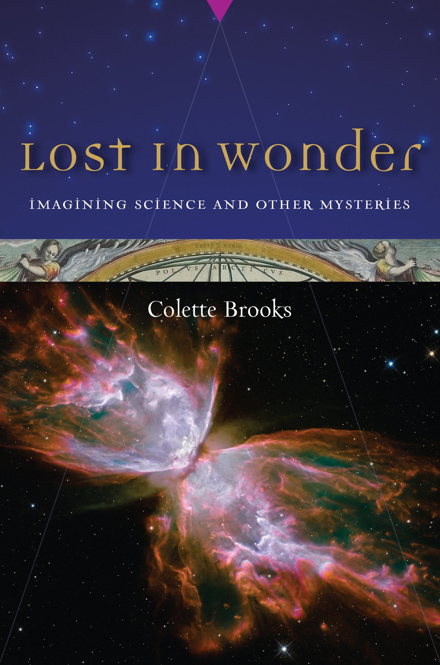 Lost in Wonder - Imagining Science and Other Mysteries