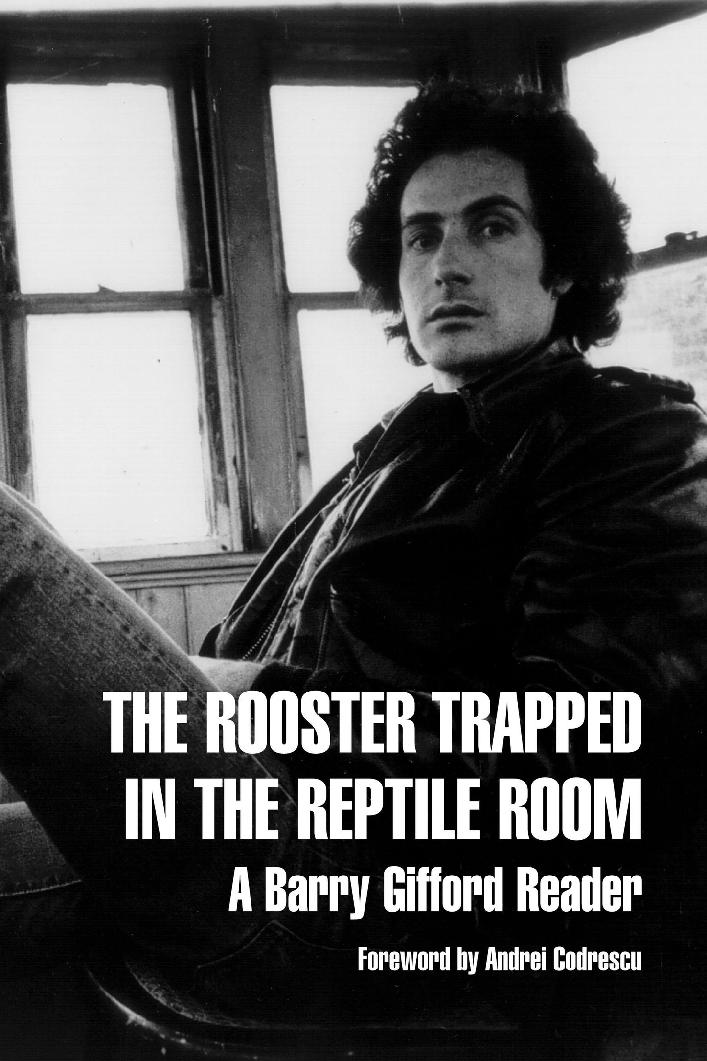 The Rooster Trapped in the Reptile Room - A Barry Gifford Reader
