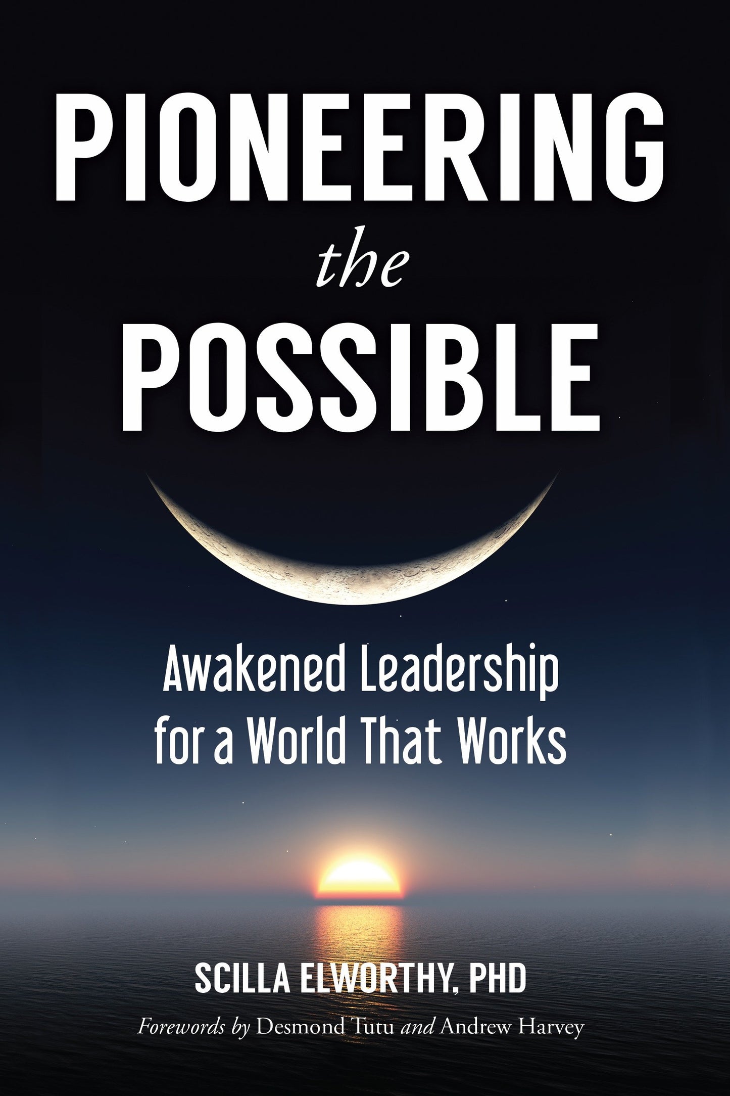 Pioneering the Possible - Awakened Leadership for a World That Works (Sacred Activism) (Book:7)