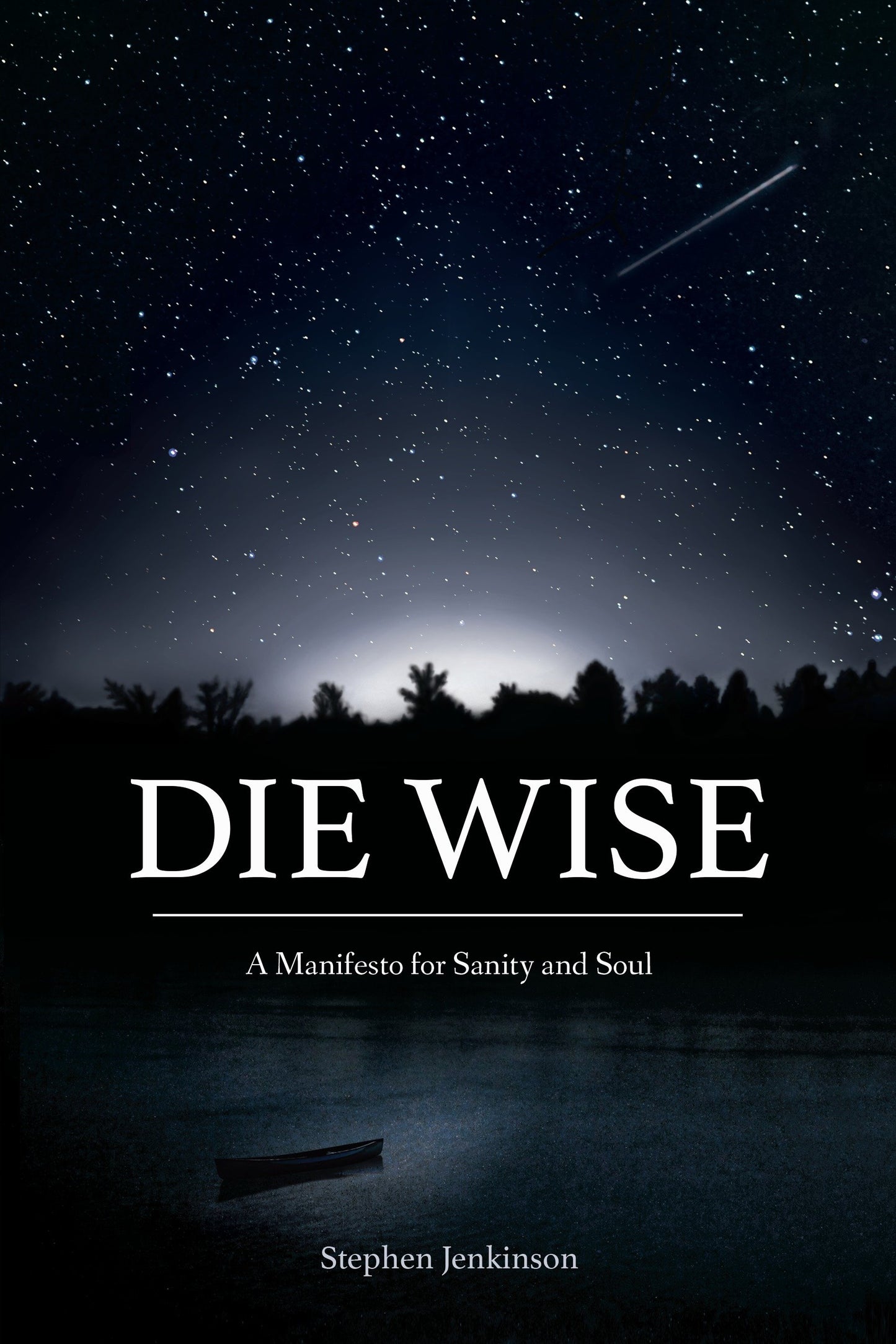Die Wise - A Manifesto for Sanity and Soul