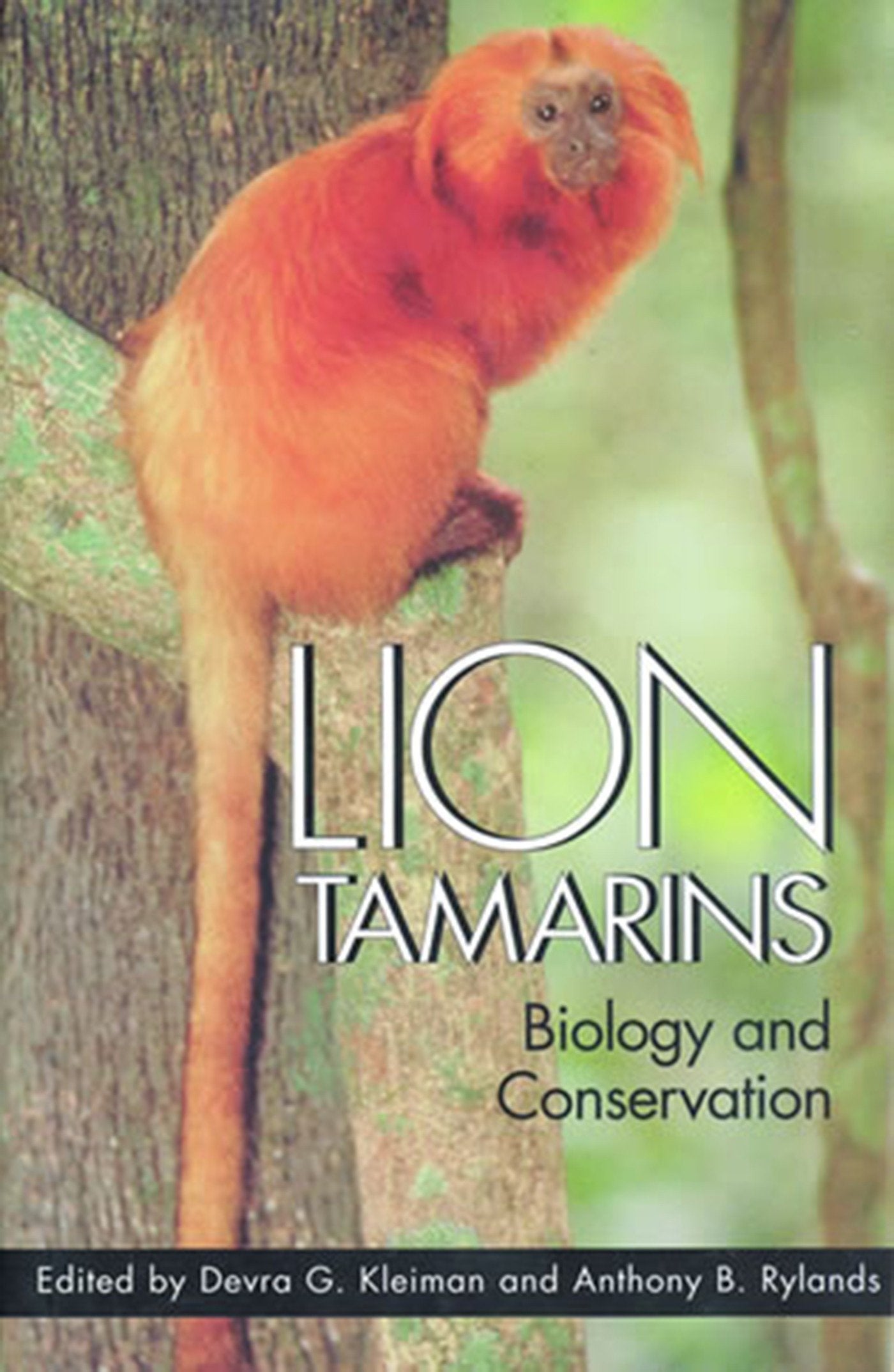 Lion Tamarins - Biology and Conservation (Zoo and Aquarium Biology and Conservation Series)