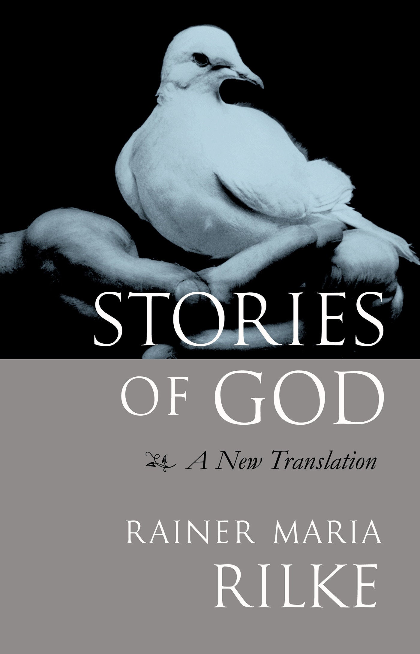 Stories of God - A New Translation