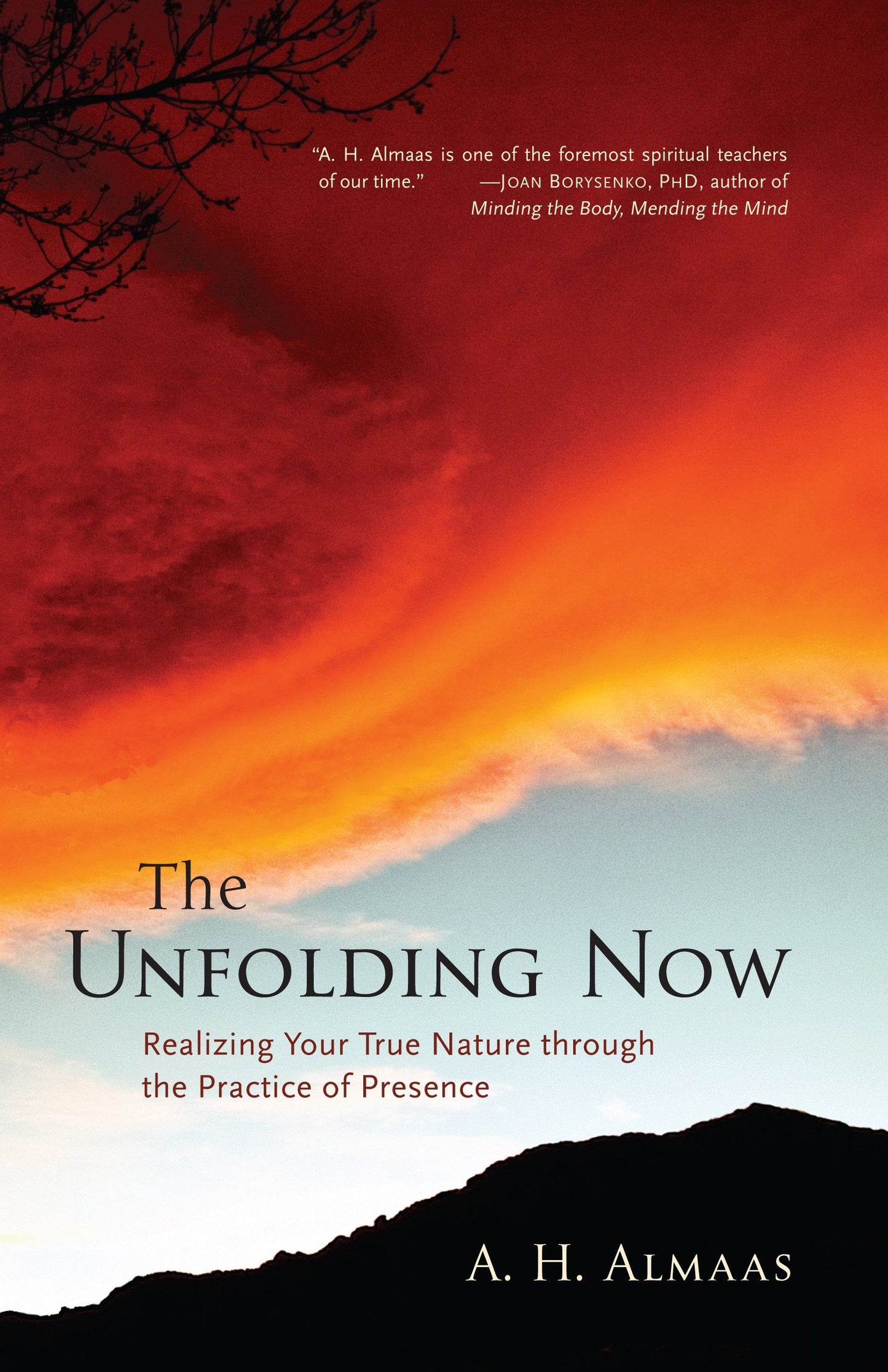 The Unfolding Now - Realizing Your True Nature through the Practice of Presence