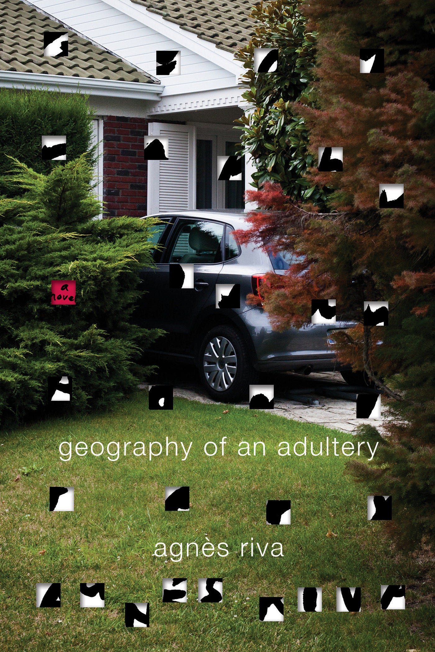 Geography of an Adultery - A Novel