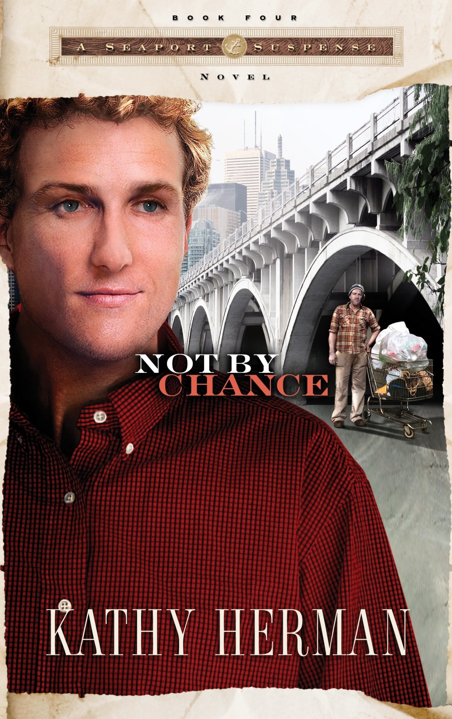 Not By Chance (A Seaport Suspense Novel) (Book:4)