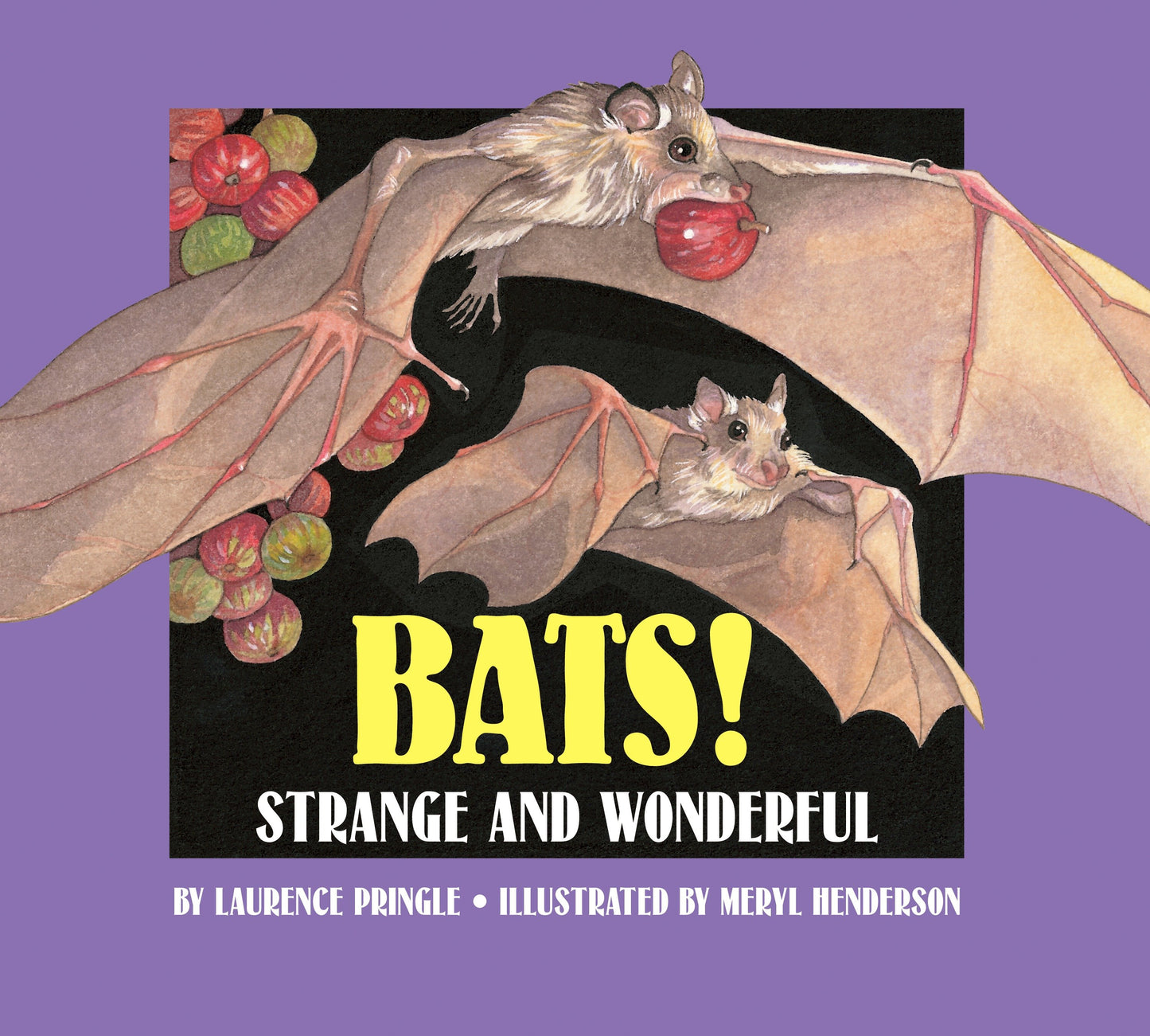 Bats! - Strange and Wonderful (Strange and Wonderful)
