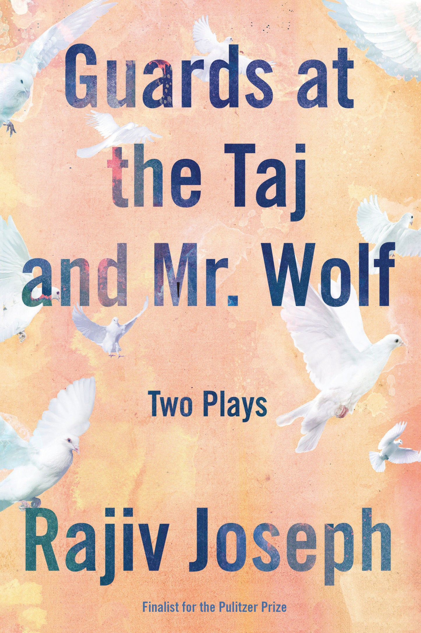 Guards at the Taj and Mr. Wolf - Two Plays