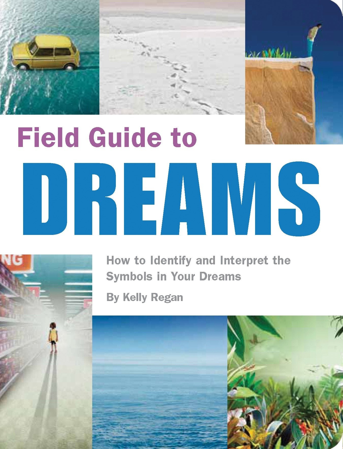 Field Guide to Dreams - How to Identify and Interpret the Symbols in Your Dreams (Field Guide)