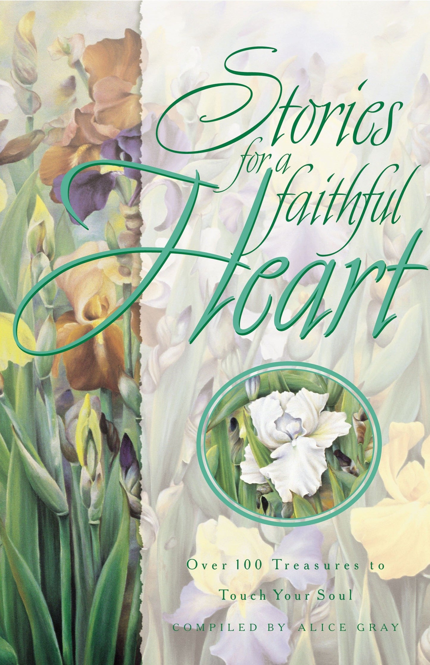 STORIES FOR A FAITHFUL HEART - Over 100 Treasures to Touch Your Soul