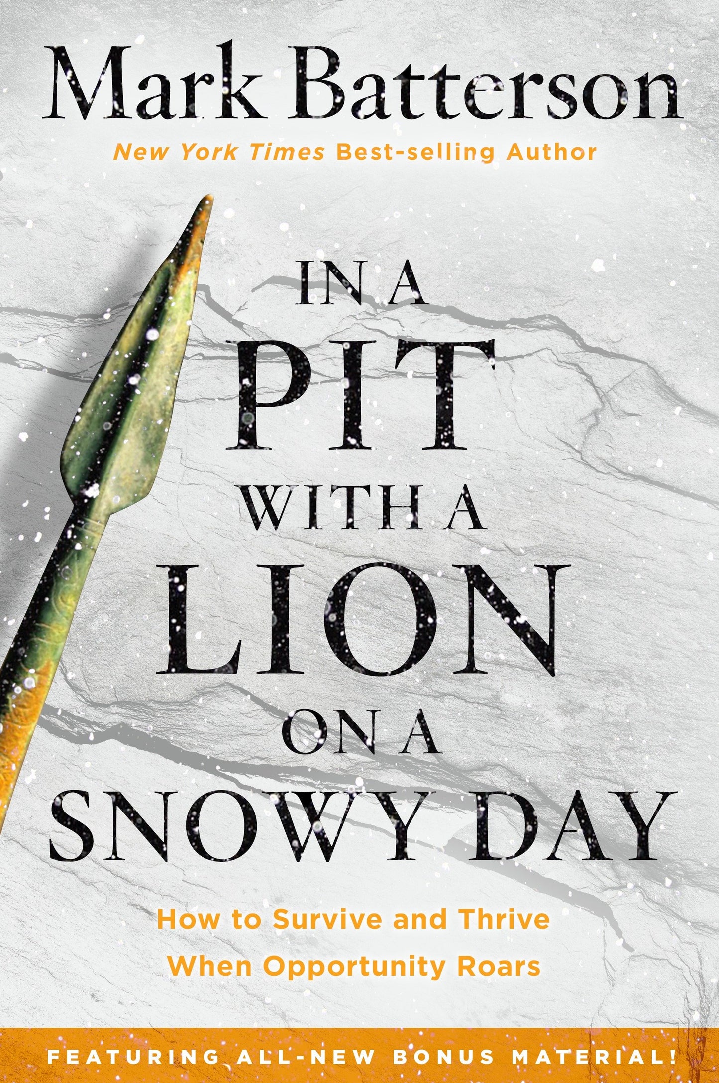 In a Pit with a Lion on a Snowy Day - How to Survive and Thrive When Opportunity Roars
