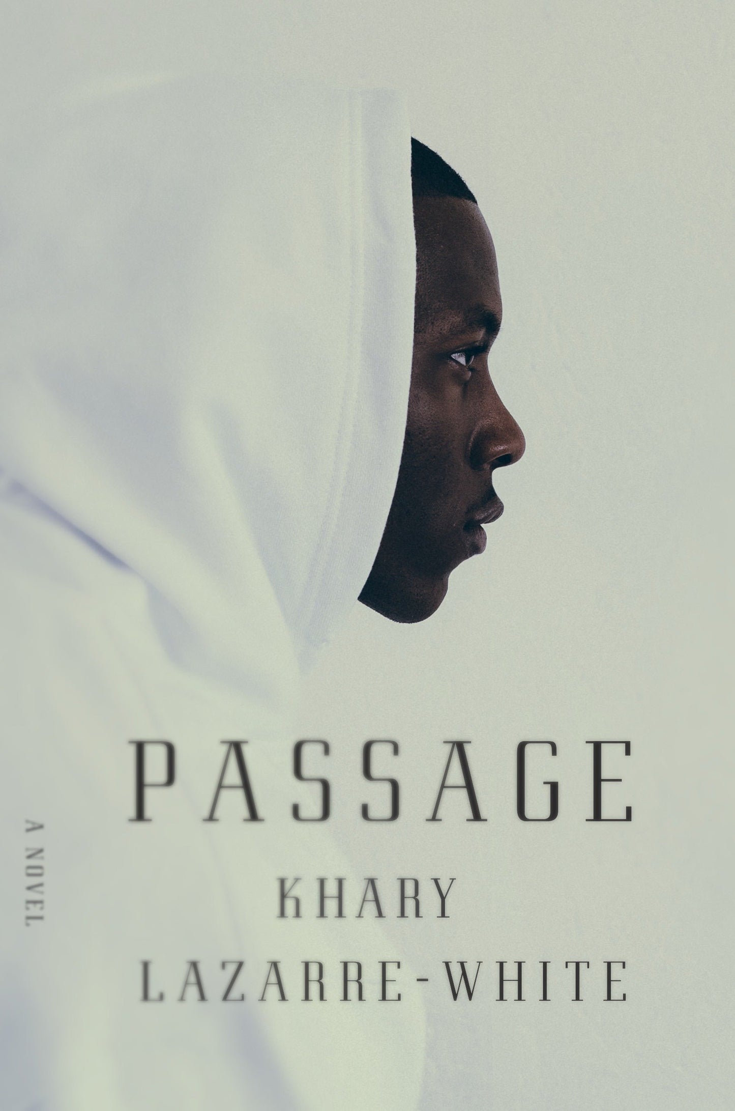 Passage - A Novel
