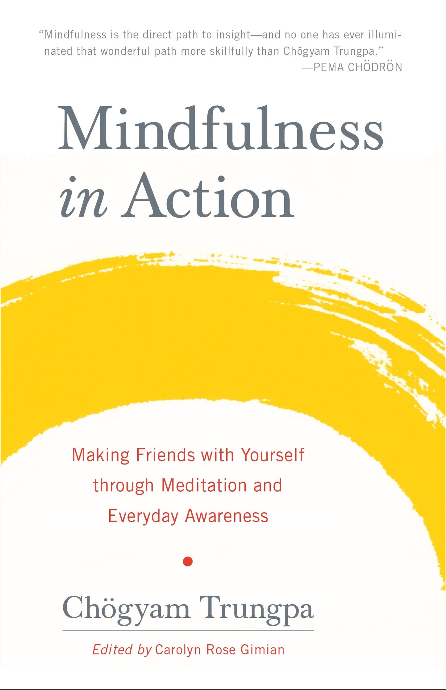 Mindfulness in Action - Making Friends with Yourself through Meditation and Everyday Awareness