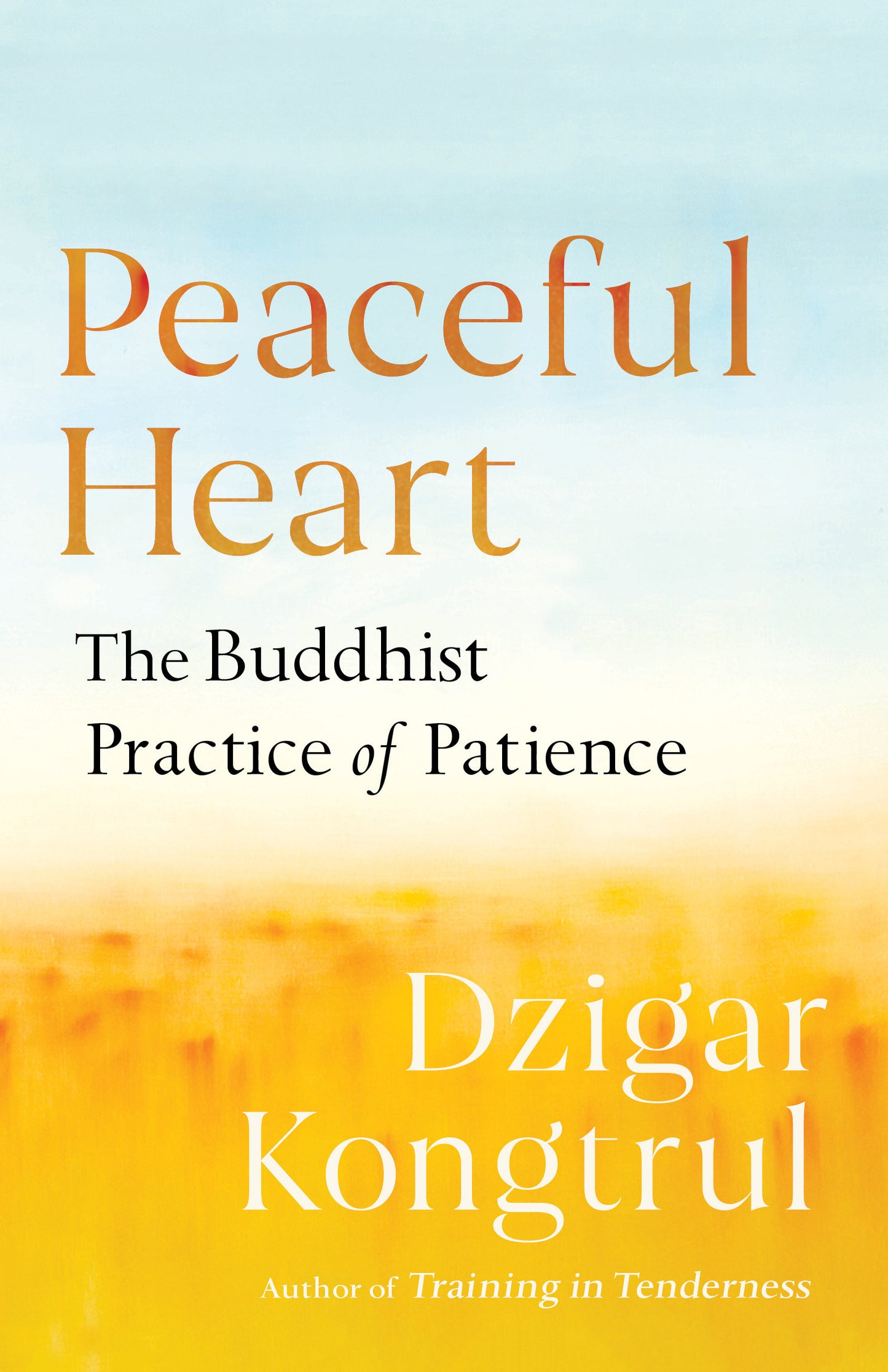 Peaceful Heart - The Buddhist Practice of Patience