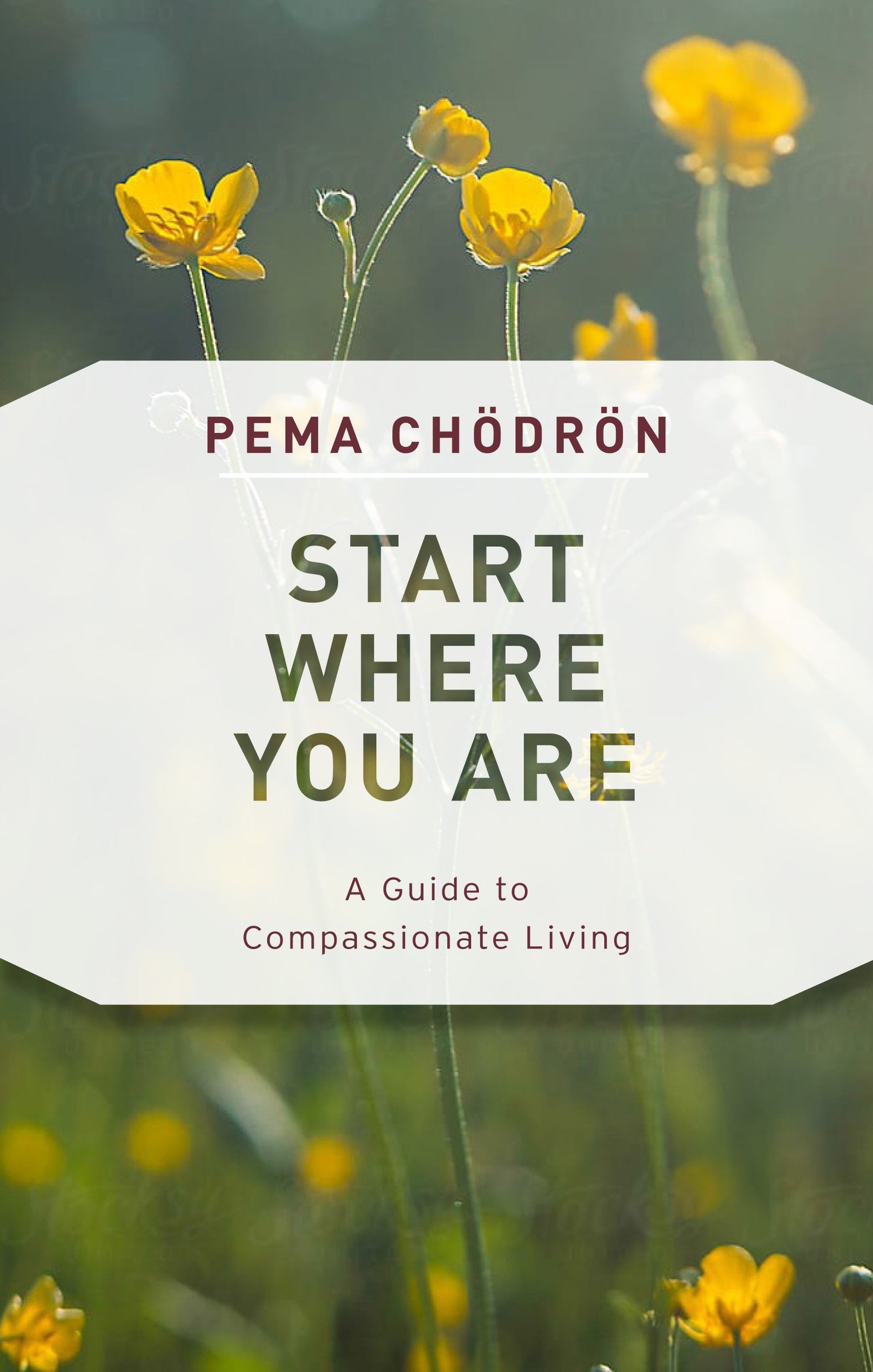 Start Where You Are - A Guide to Compassionate Living