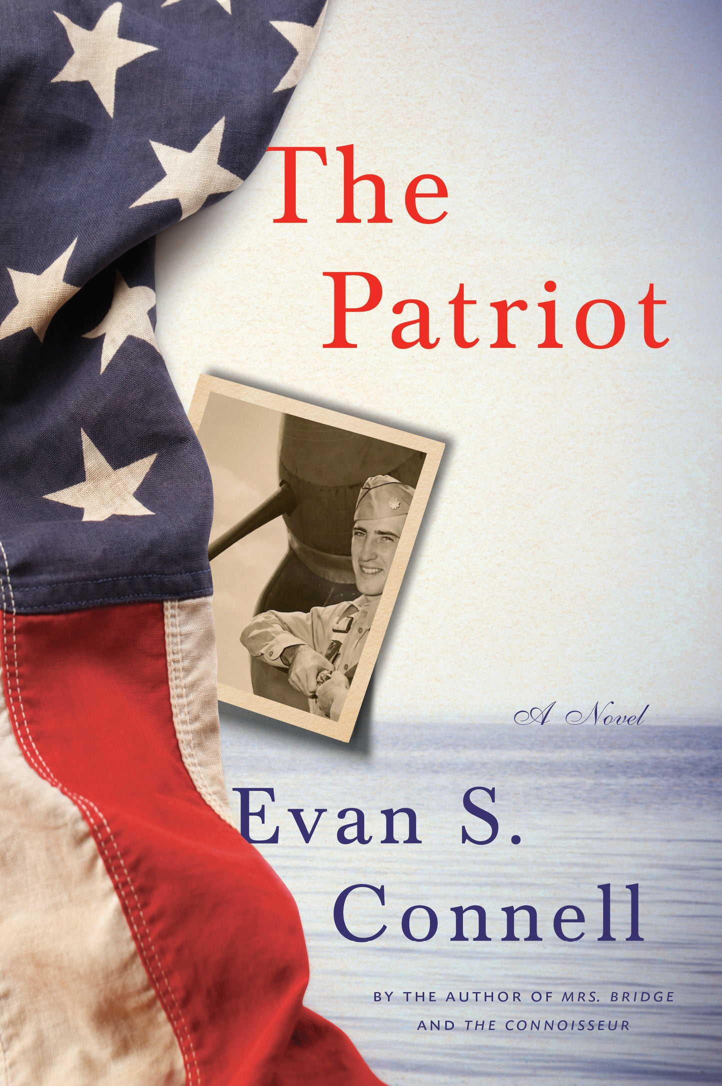 The Patriot - A Novel