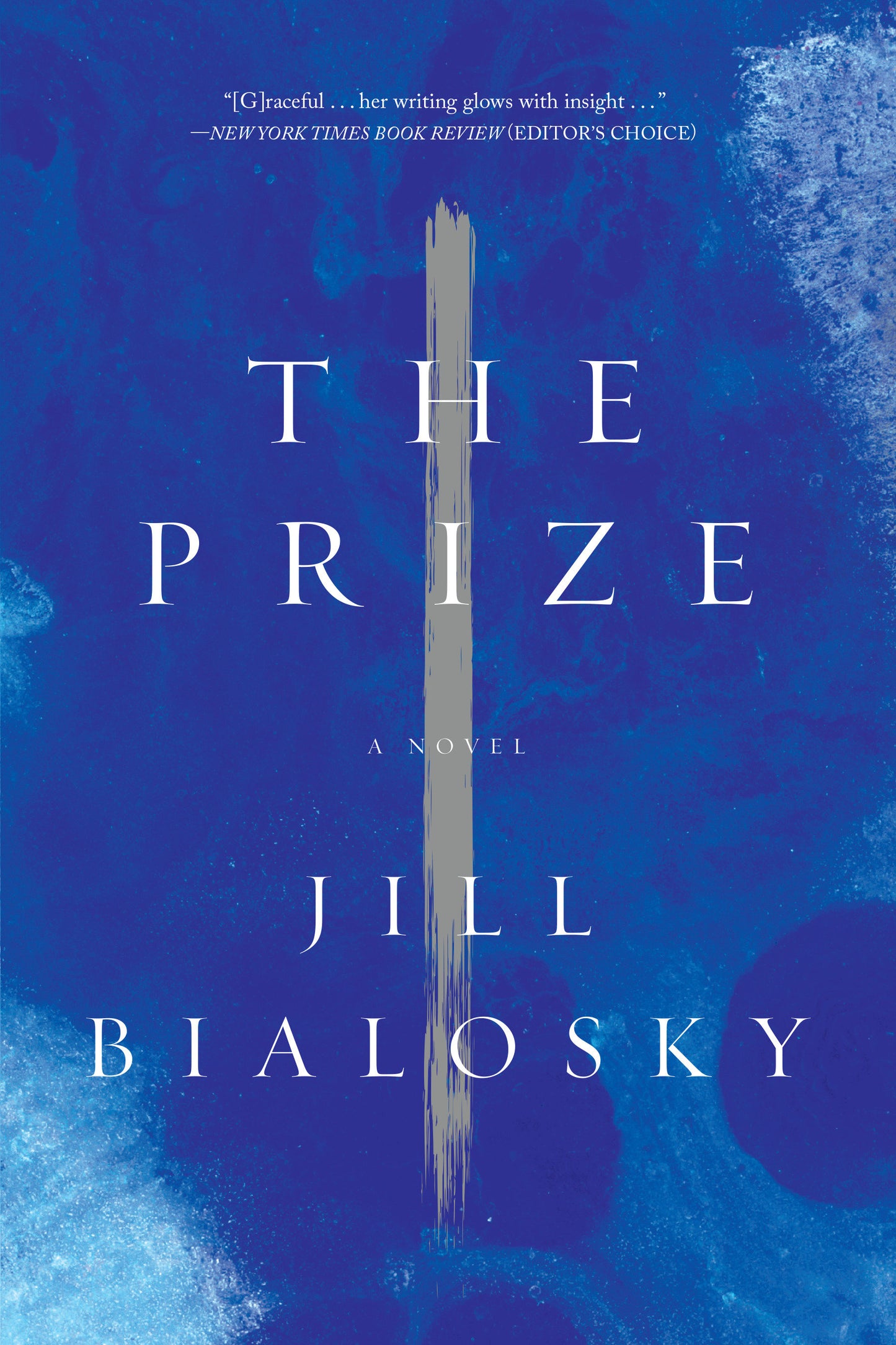 The Prize - A Novel