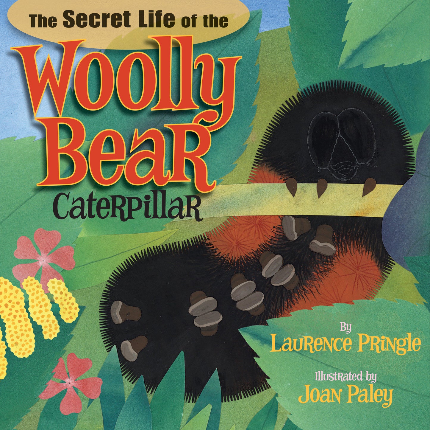 The Secret Life of the Woolly Bear Caterpillar (The Secret Life)