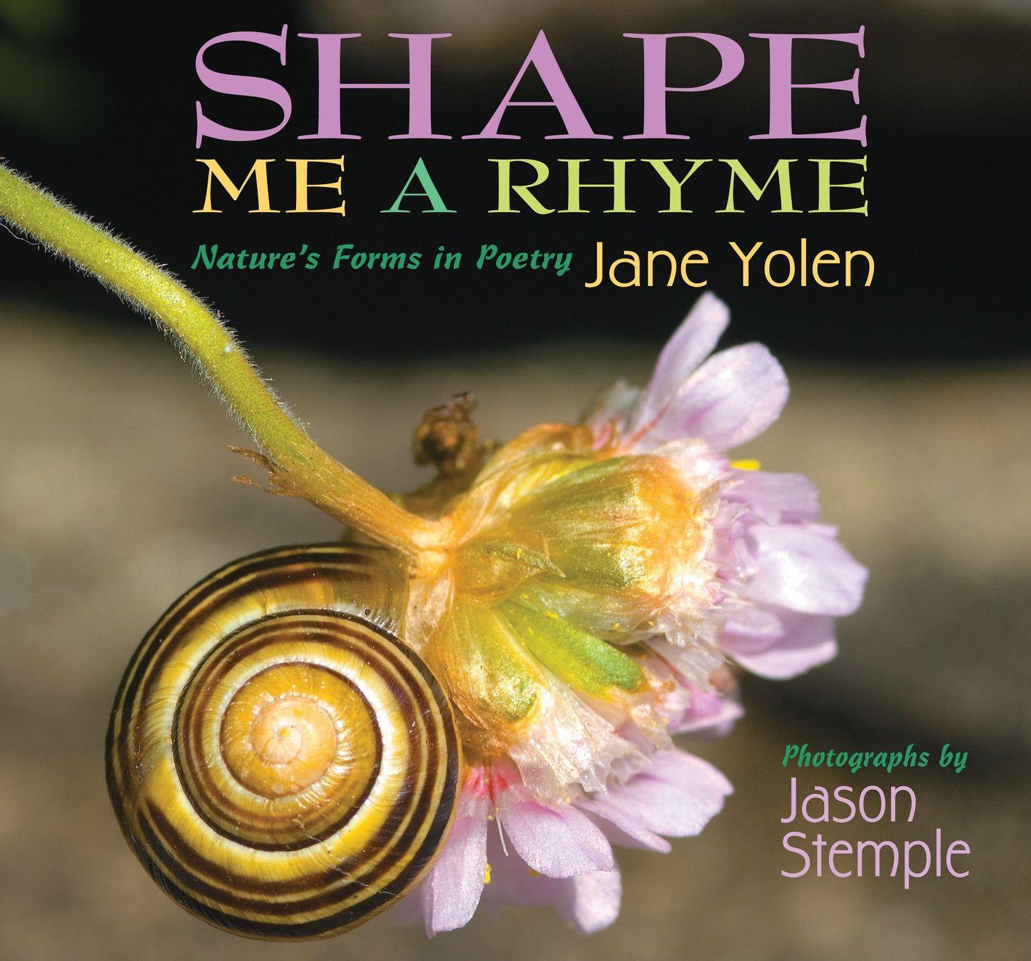 Shape Me a Rhyme - Nature's Forms in Poetry