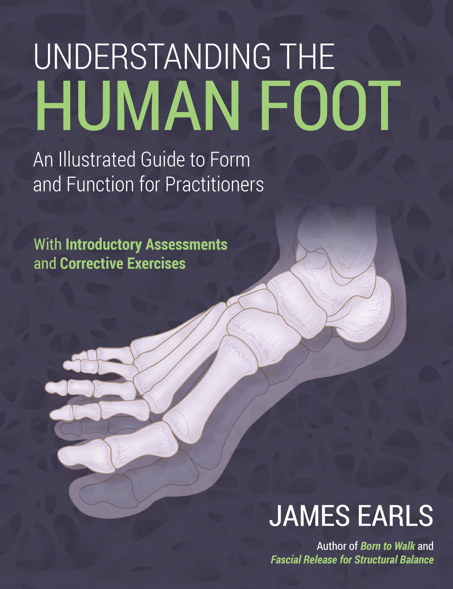 Understanding the Human Foot - An Illustrated Guide to Form and Function for Practitioners