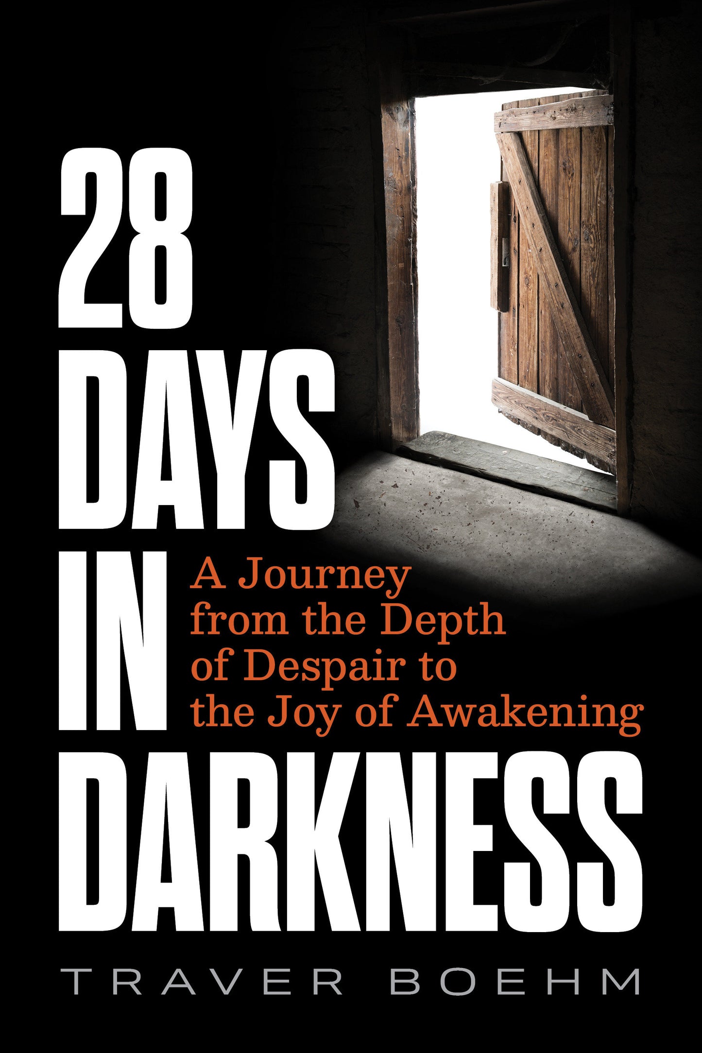 28 Days in Darkness - A Journey from the Depth of Despair to the Joy of Awakening