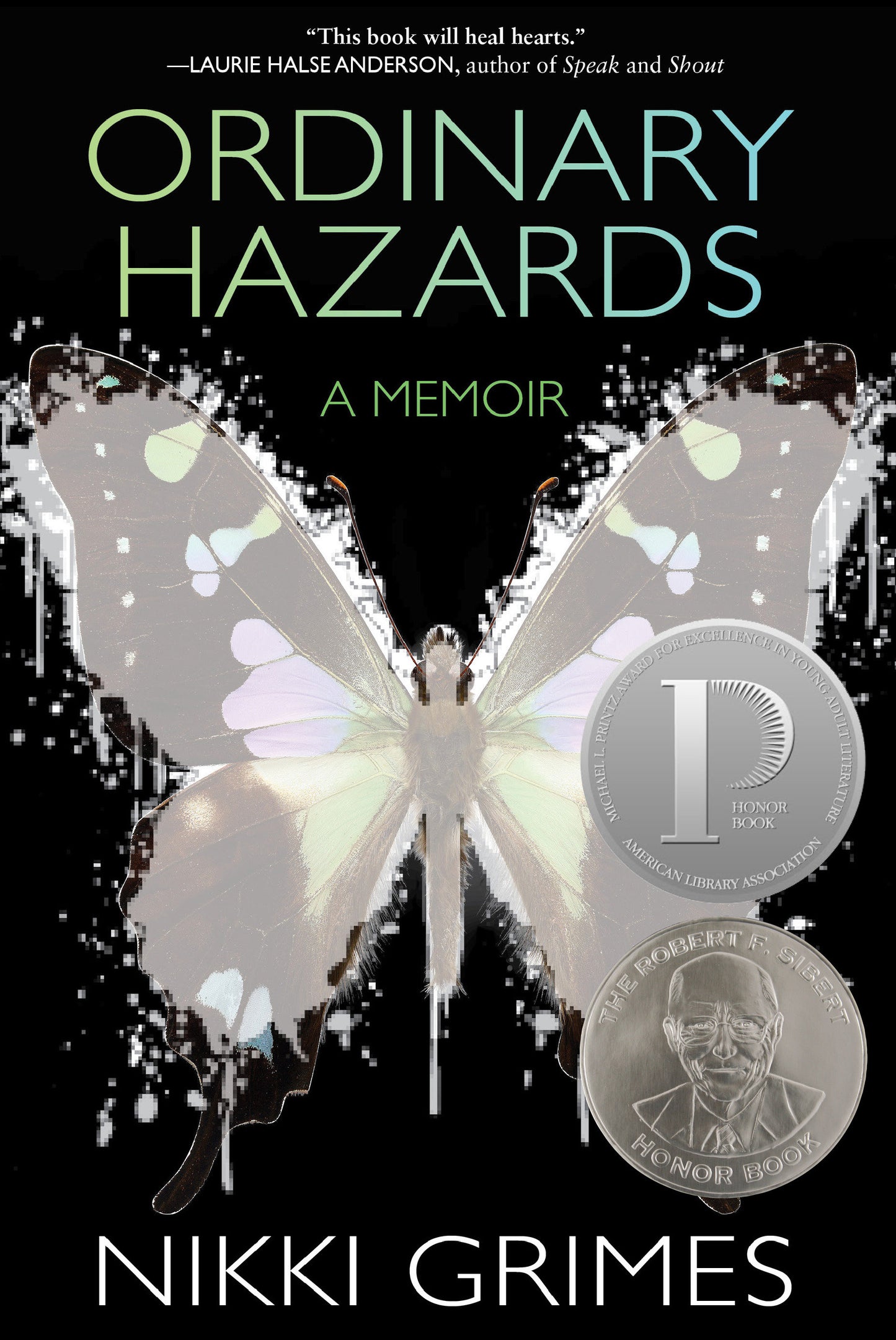 Ordinary Hazards - A Memoir