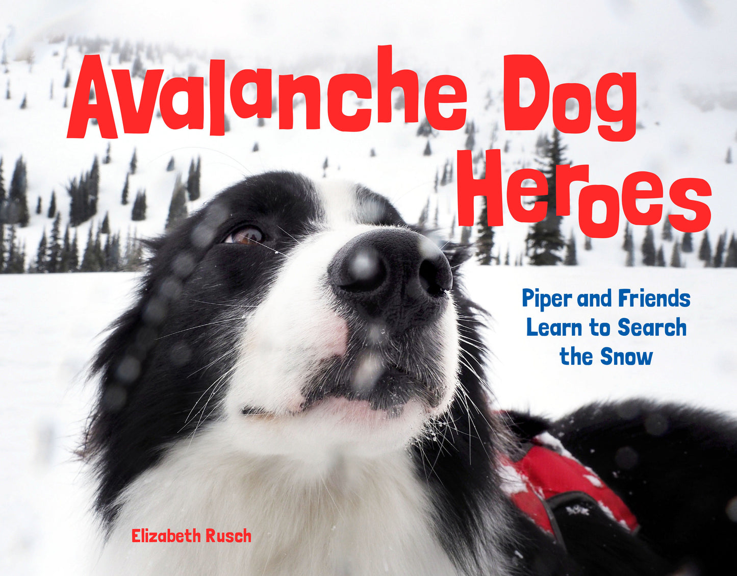 Avalanche Dog Heroes - Piper and Friends Learn to Search the Snow