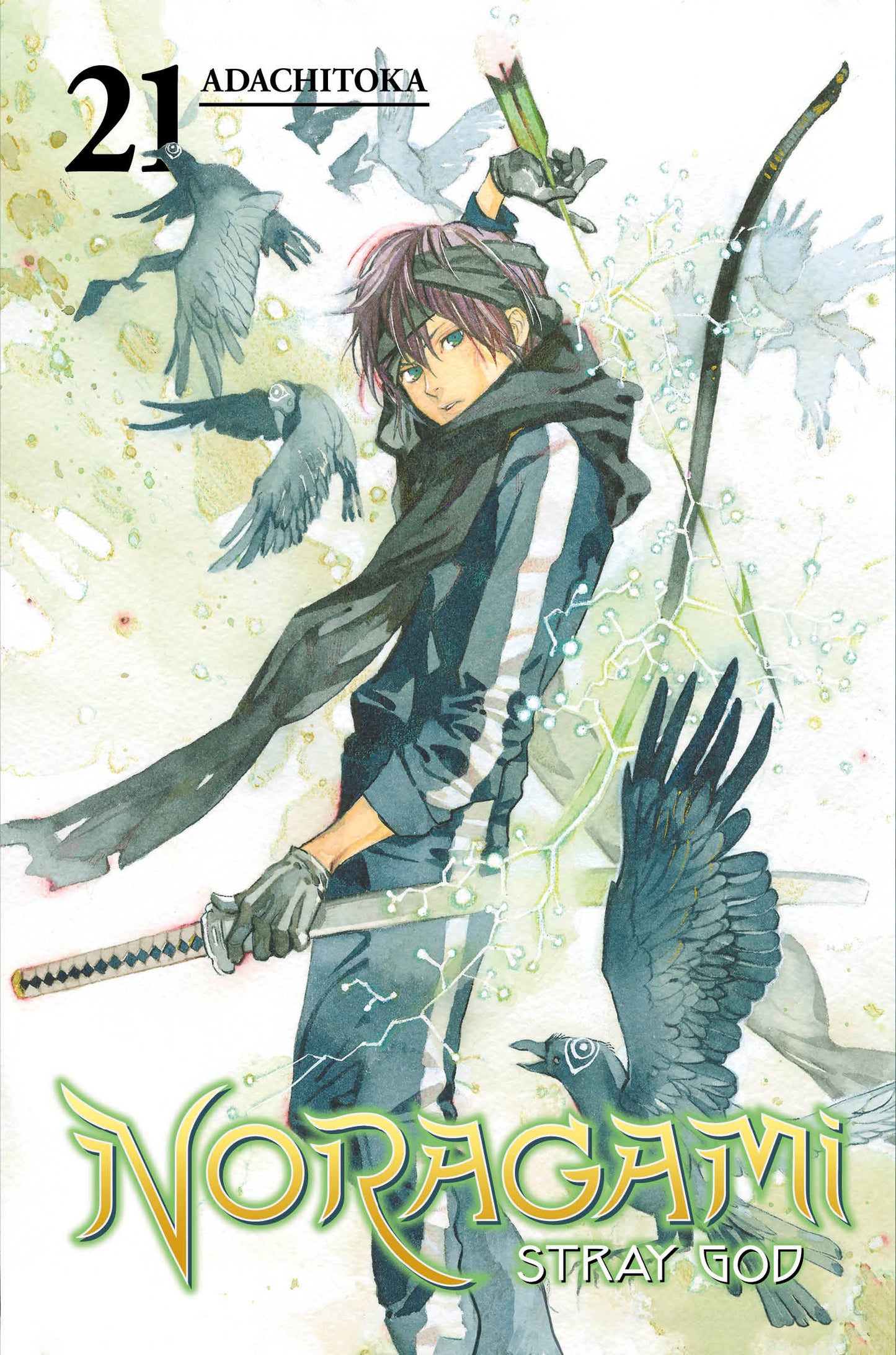 Noragami: Stray God 21 (Noragami: Stray God) (Book:21)
