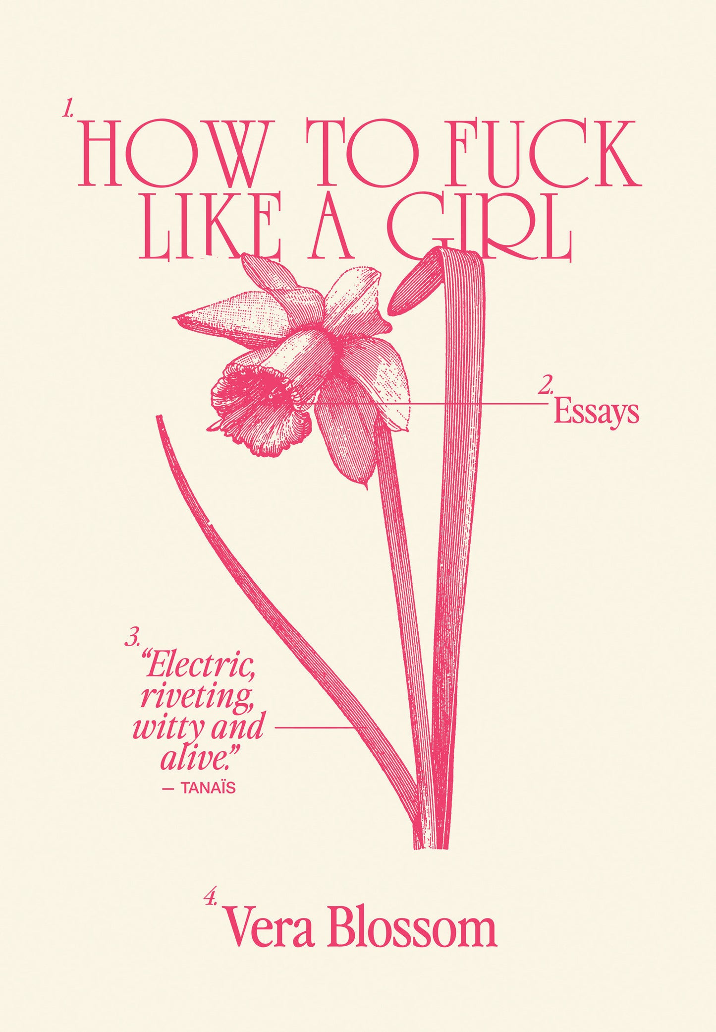 How to Fuck Like a Girl - Essays