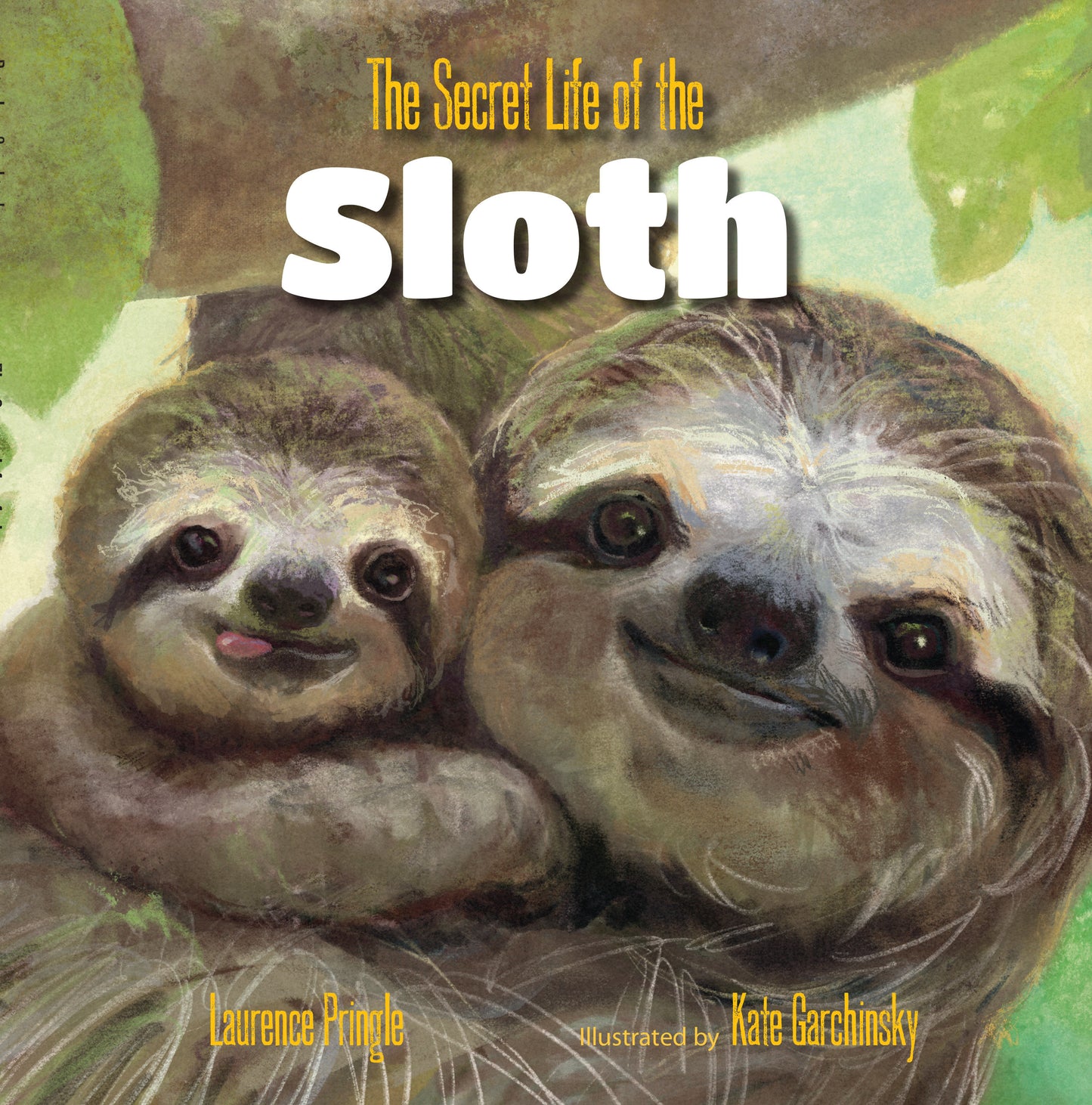 The Secret Life of the Sloth (The Secret Life)
