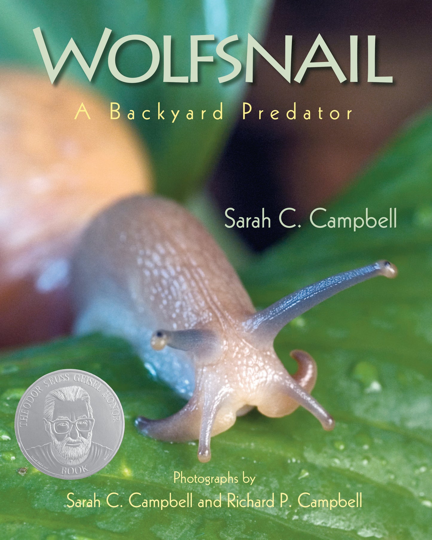 Wolfsnail - A Backyard Predator