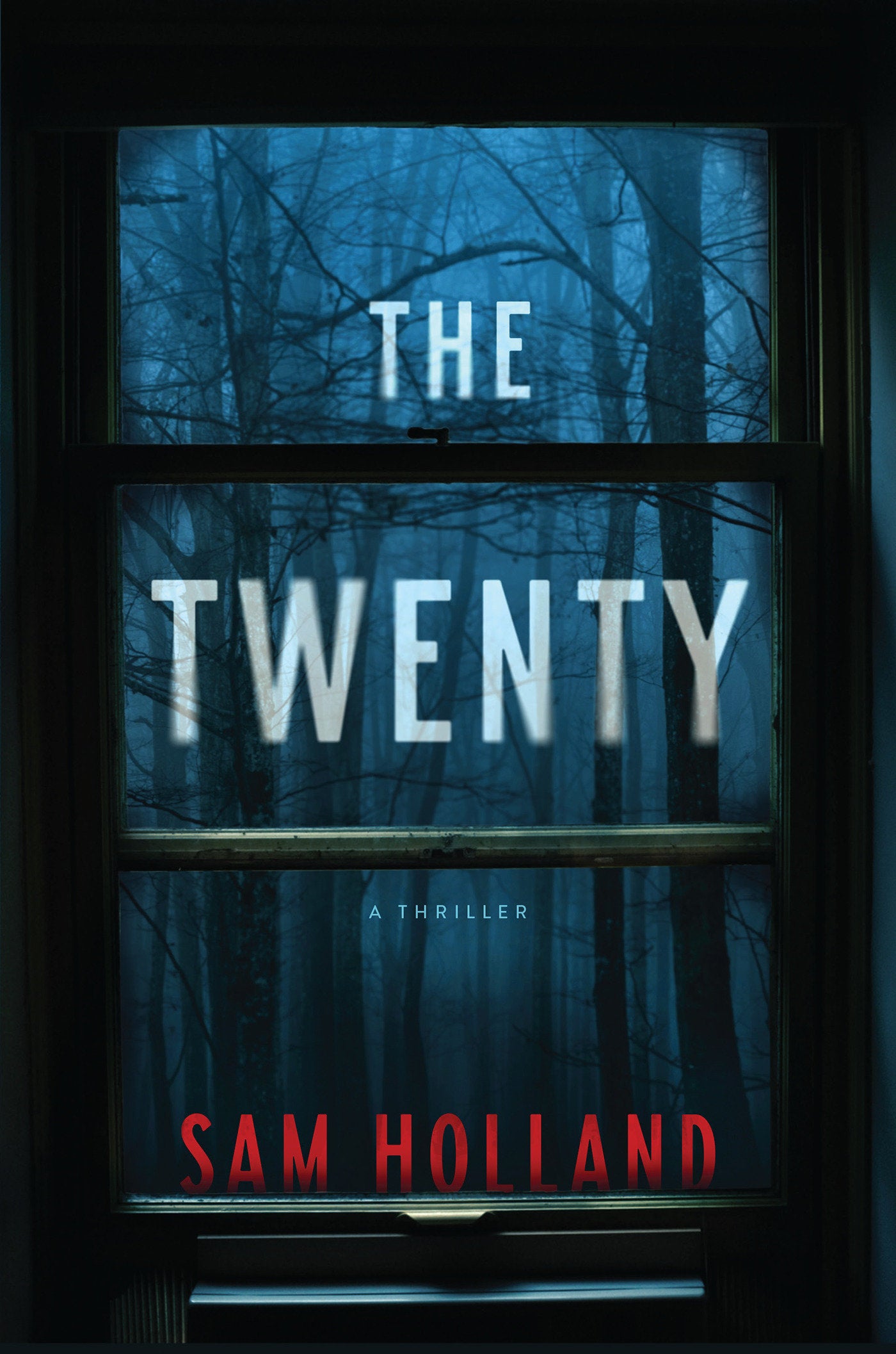 The Twenty - A Thriller
