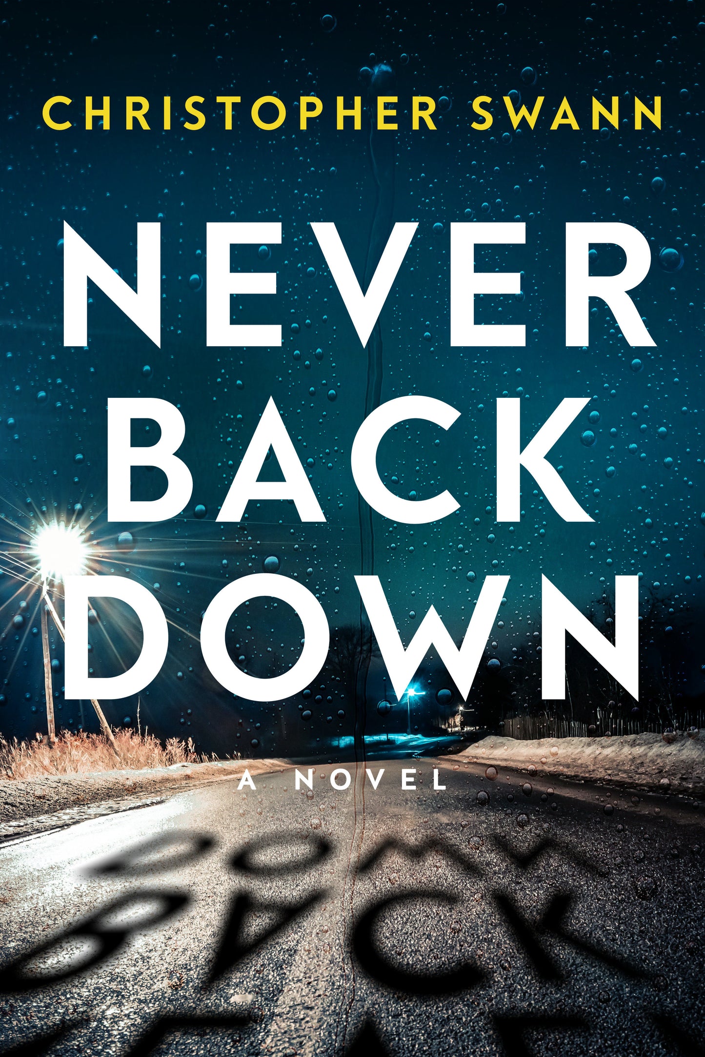 Never Back Down (A Faulkner Family Thriller) (Book:3)