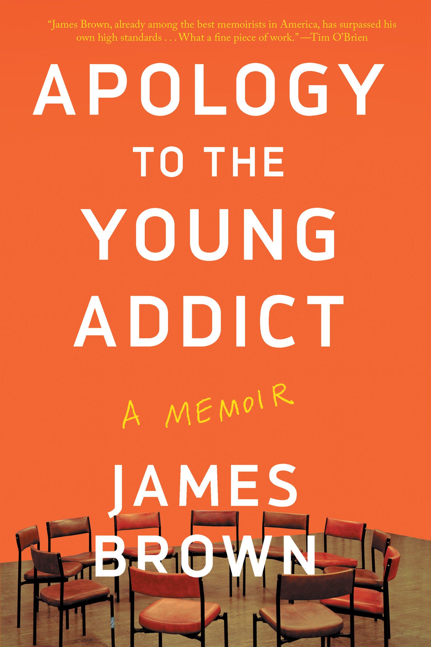 Apology to the Young Addict - A Memoir