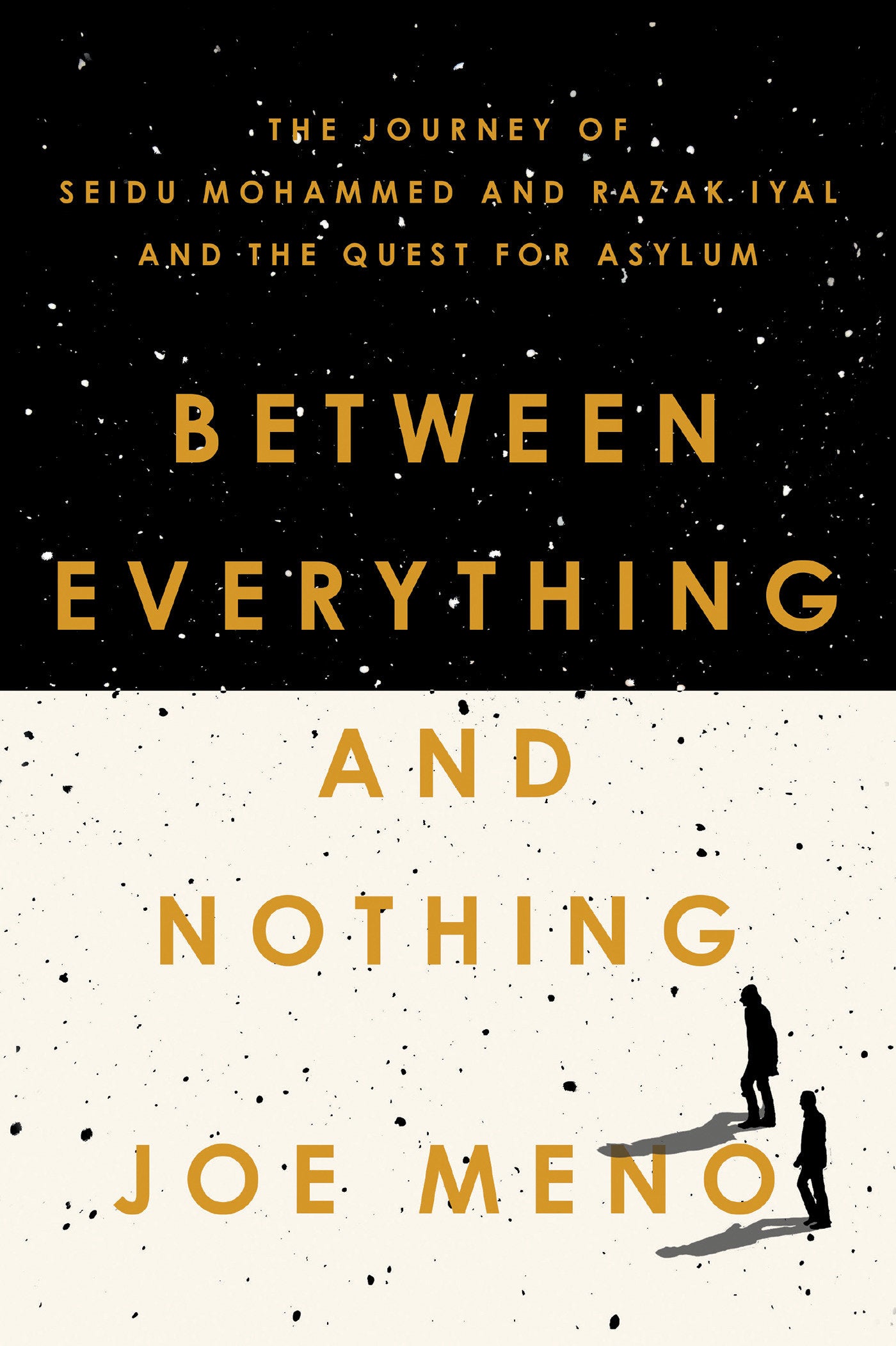 Between Everything and Nothing - The Journey of Seidu Mohammed and Razak Iyal and the Quest for Asylum