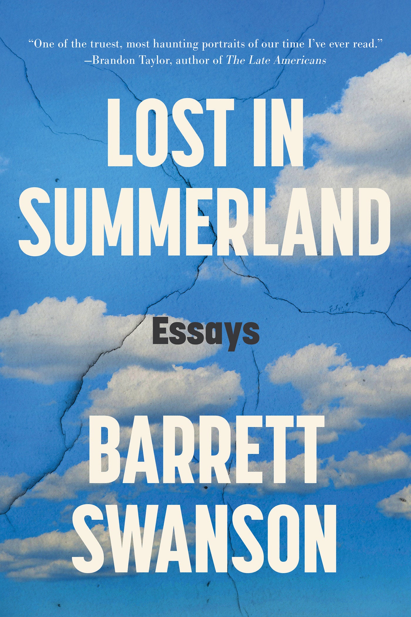 Lost in Summerland - Essays