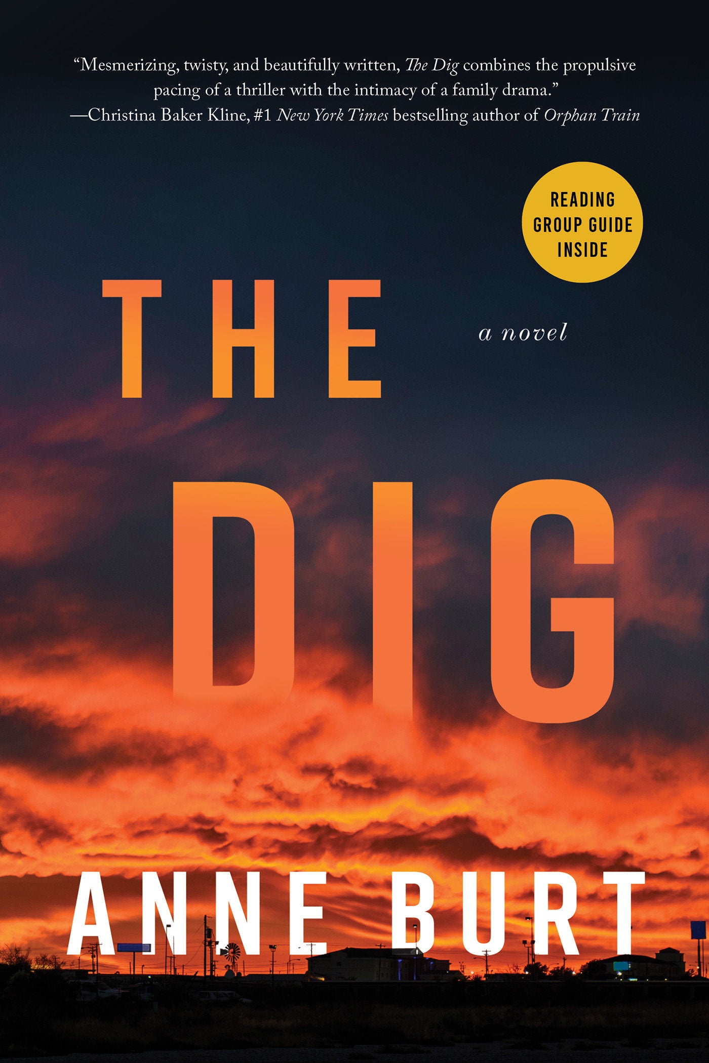 The Dig - A Novel