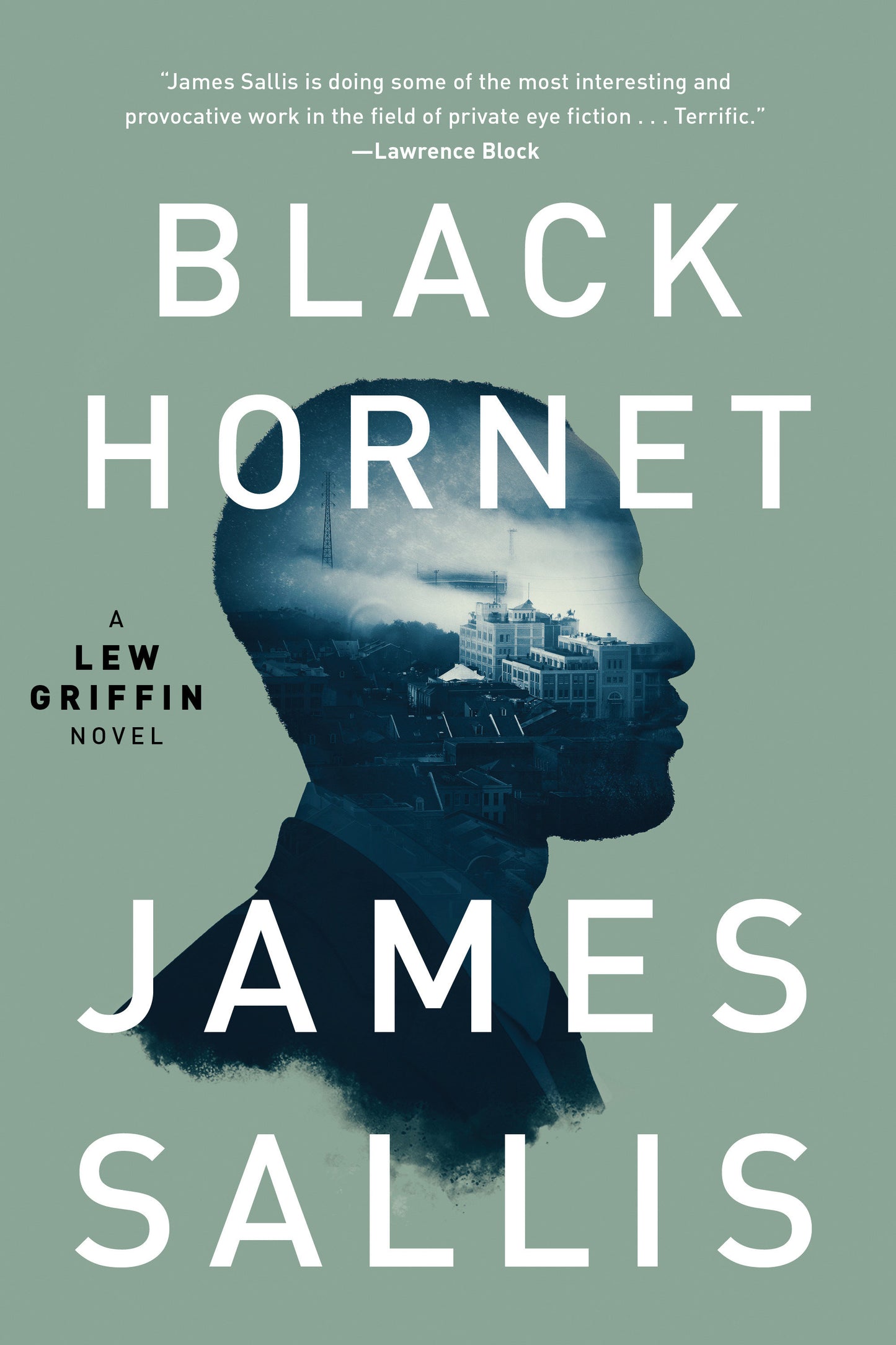 Black Hornet (A Lew Griffin Novel) (Book:3)